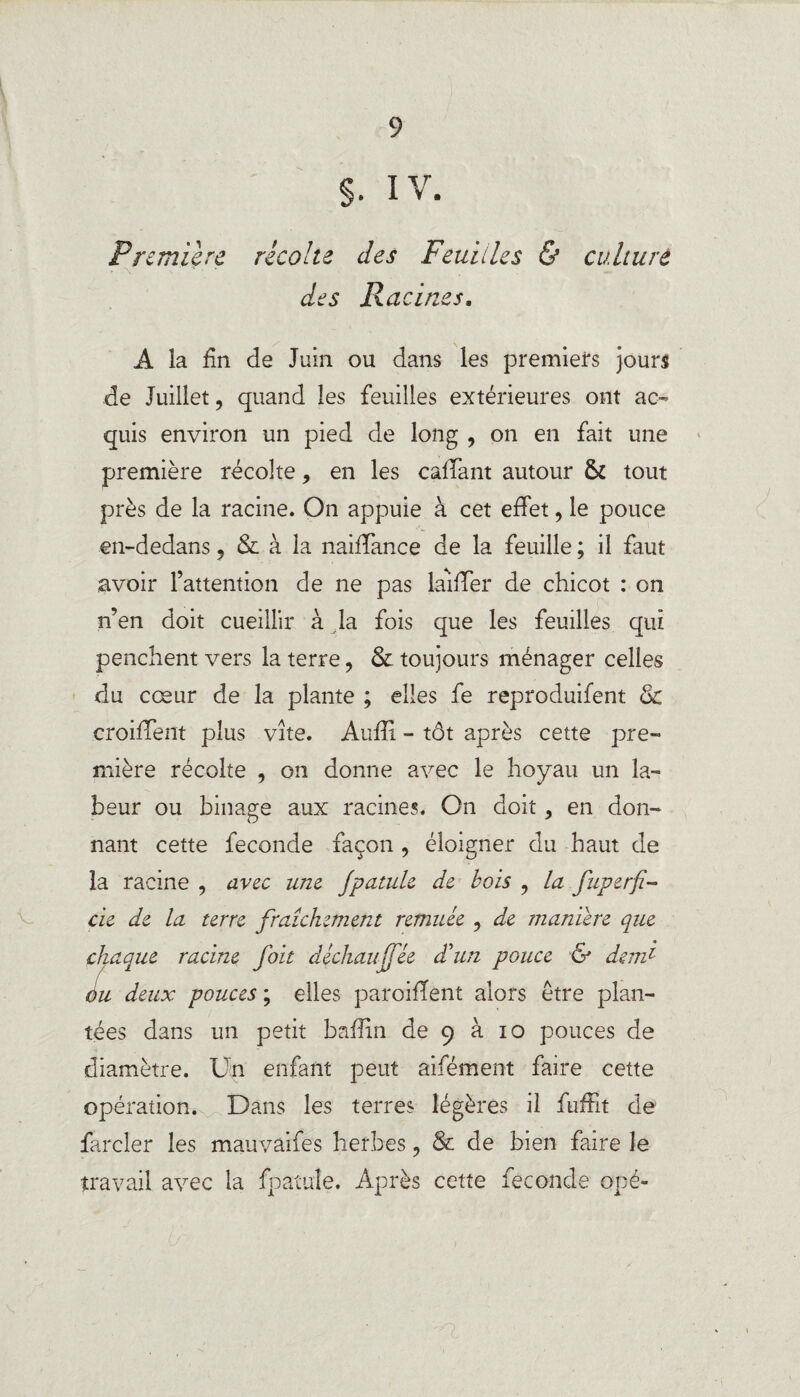 S- IV. Première récolte des Feuilles & culture des Racines. A la fin de Juin ou dans les premiers jours de Juillet, quand les feuilles extérieures ont ac¬ quis environ un pied de long , on en fait une première récolte, en les cafTant autour & tout près de la racine. On appuie à cet effet, le pouce en-dedans 9 & à la naiffance de la feuille ; il faut avoir l’attention de ne pas biffer de chicot : on n’en doit cueillir à la fois que les feuilles qui penchent vers la terre , & toujours ménager celles du cœur de la plante ; elles fe reproduifent & croiffent plus vite. Aufïi - tôt après cette pre¬ mière récolte , on donne avec le hoyau un la¬ beur ou binage aux racines. On doit, en don¬ nant cette fécondé façon , éloigner du haut de la racine , avec une Jpatule de bols , la fuperfi- de de la terre fraîchement remuée , de înaniere que chaque racine foit déchau ffée d’un pouce & demi ou deux pouces ; elles paroiflent alors être plan¬ tées dans un petit baffin de 9 à 10 pouces de diamètre. Un enfant peut aifément faire cette opération. Dans les terres légères il fufFit de farder les mauvâifes herbes ? & de bien faire le travail avec la fpatule. Après cette fécondé ope-