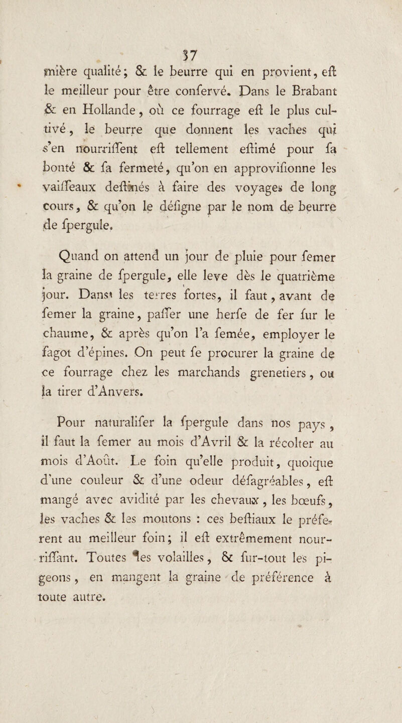 fmière qualité ; & le beurre qui en provient, eft le meilleur pour être confervé. Dans le Brabant & en Hollande, où ce fourrage eft le plus cul¬ tivé , le beurre que donnent les vaches qui s’en nourrirent eft tellement eftimé pour fa bonté & fa fermeté, qu’on en approvifionne les vaiffeaux dedfnés à faire des voyage» de long cours, & qu’on le défigne par le nom de beurre :de fpergule. Quand on attend un jour de pluie pour femer la graine de fpergule, elle leve dès le quatrième jour. Dans* les terres fortes, il faut, avant de femer la graine, palier une herfe de fer fur le chaume, & après qu’on l’a femée, employer le fagot d’épines. On peut fe procurer la graine de ce fourrage chez les marchands grenetiers, ou la tirer d’Anvers. Pour naturaliser la fpergule dans nos pays , il faut la femer au mois d’Avril & la récolter au mois d’Août. Le foin qu’elle produit, quoique d'une couleur & d’une odeur défagréables, eft mangé avec avidité par les chevaux, les bœufs, les vaches & les moutons : ces beftiaux le préfe* rent au meilleur foin; il eû extrêmement nour- riflant. Toutes ^es volailles, 6c fur-tout les pi¬ geons , en mangent la graine de préférence à toute autre.
