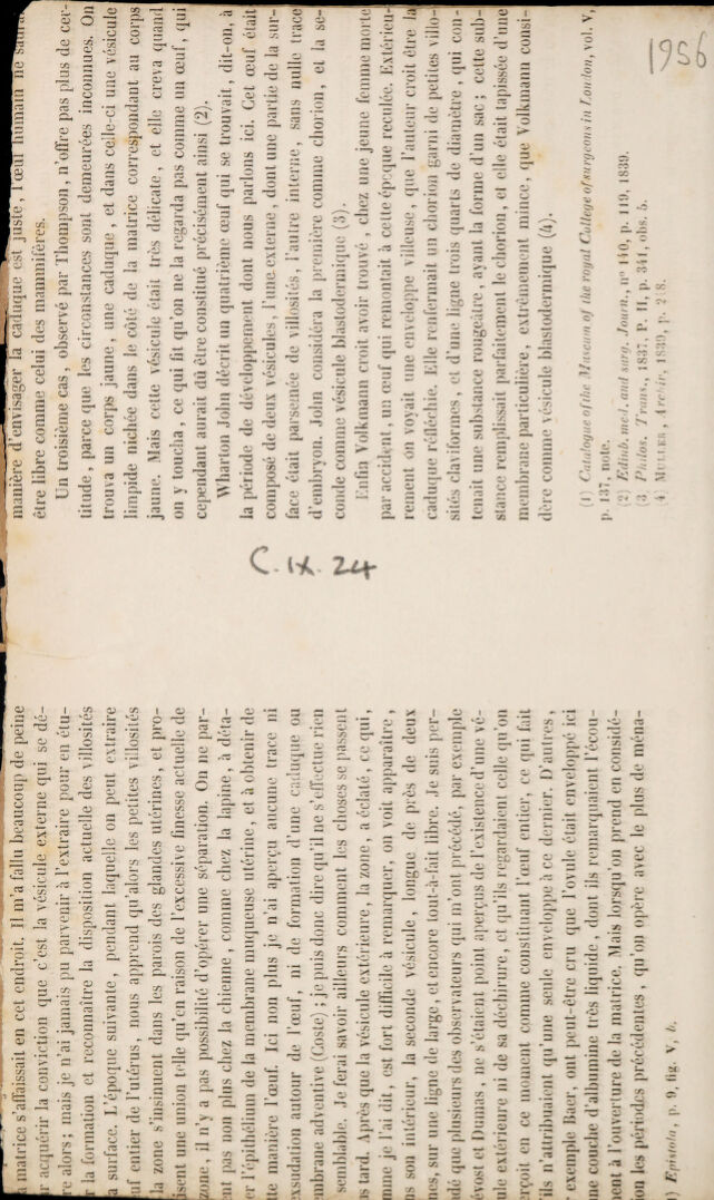 digitised image 2