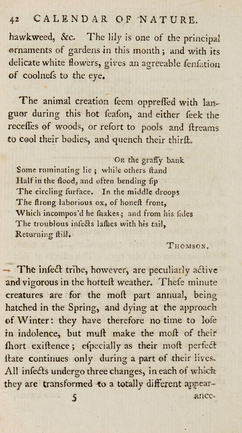 hawkweed, &c. The lily is one of the principal ornaments of gardens in this month; and with its delicate white flowers, gives an agreeable fenfation of coolnefs to the eye. The animal creation feem oppreffed with lan¬ guor during this hot feafon, and either feek the recelles of woods, or refort to pools and ftreams to cool their bodies, and 'quench their thirft. Oh the graffy bank Some ruminating lie j while others ftand Half in the flood, and often bending flp The circling furface. In the middle droops The Along laborious ox, of honefl front, Which incompos’d he fliakes; and from his Tides The troublous infers laflies with his tail, Returning ft ill. 0 Thomson. -i- The Infe£t trihe, however, are peculiarly active and vigorous in the hotteft weather. Thefe minute creatures are for the moll part annual, being hatched in the Spring, and dying at the approach of Winter: they have therefore no time to lofe in indolence, but mult make the moff of their fhort exiftence; efpecially as their moft perfect Hate continues only during a part of their lives. All infects undergo three changes, in each of which they are transformed to a totally different appear- 5 ance*