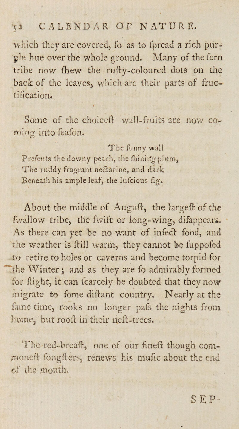 which they are covered, To as to fpread a rich pur¬ ple hue over the whole ground. Many of the fern tribe now fhew the rufty-coloured dots on the back of the leaves, which are their parts of fruc¬ tification. Some of the choice# wall-fruits are now co¬ rn in a: into feafon. The funny wall Frefents the downy peach, the fhinirfg plam. The ruddy fragrant nectarine, and dark Beneath his ample leaf, the lufeious fig. About the middle of Auguff, the large# of the fwallow tribe, the fwift or long-wing, difappear*. As there can yet be no want of infedt food, and the weather is #ill warm, they cannot be fuppofed to retire to holes or caverns and become torpid for ‘the Winter \ and as they are fo admirably formed for fight, it can fcarcely be doubted that they now migrate to feme diftant country. Nearly at the feme time, rooks no longer pafs the nights from home, but rooft in their neft-trees. The red-breaft, one of our fine# though com- moneft fongfters, renews his mu fie about the end of the month. S E P ■