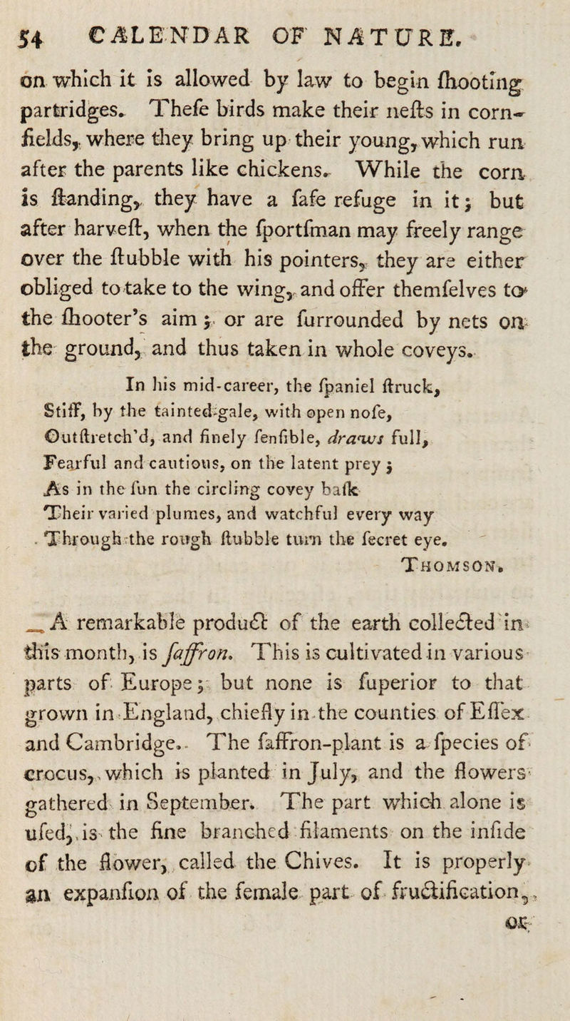 on which it is allowed by law to begin (hooting partridges. Thefe birds make their neRs in corn¬ fields, where they bring up their young, which run after the parents like chickens. While the corn is (banding, they have a fafe refuge in it; but after harveR, when the fportfman may freely range over the Rubble with his pointers, they are either obliged to take to the wing, and offer themfelves to the (hooter’s aim y or are furrounded by nets on the ground, and thus taken in whole coveys. In his mid-career, the fpaniel ftruck. Stiff, by the tainted^gale, with open nofe, Outftretch’d, and finely fenfible, draws full. Fearful and cautious, on the latent prey j As in the fun the circling coyey balk Their varied plumes, and watchful every way . Through-the rough flubble turn the fecret eye. Thomson. _ A remarkable product of the earth colledled in this month, is faffron. This is cultivated in various parts of Europe y but none is fuperior to that grown in England, chiefly in the counties ofEfiex and Cambridge.. The faffron-plant is afpecies of crocus,, which is planted in July, and the flowers gathered in September. The part which alone is ufed,hs the fine branched filaments on the infide of the flower, called the Chives. It is properly an expanfion of the female part of fructification,,