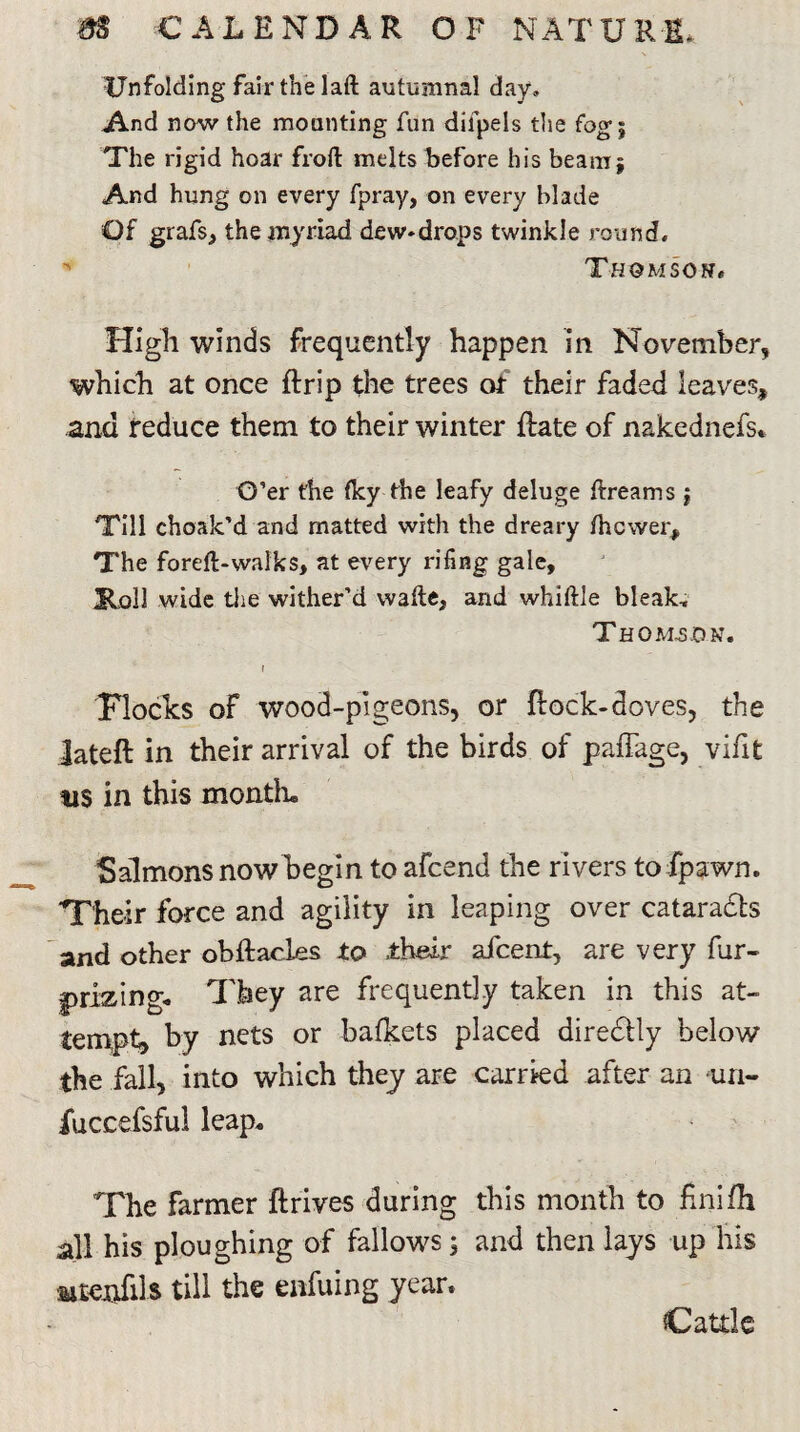 Unfolding fair the laft autumnal day. And now the mounting fun dilpels the fog j The rigid hoar froft melts before his beam} And hung on every fpray, on every blade Of grafs, the myriad dew-drops twinkle round. * Thomson. High winds frequently happen in November, which at once ftrip the trees ot their faded leaves, and reduce them to their winter Rate of nakednefs. O’er the (ky the leafy deluge ftreams } Till choak’d and matted with the dreary thcwer. The foreft-walks, at every rifing gale, lR»oll wide the wither’d vvaite, and whittle bleak, Thomson. t Flocks of wood-pigeons, or Rock-doves, the lateft in their arrival of the birds of paffage, viilt tis in this month. Salmons now begin to afcend the rivers to fpawn. Their force and agility in leaping over cataracts and other obftacles to their afcent, are very fur- prizing, They are frequently taken in this at¬ tempt, by nets or bafkets placed diredily below the fall, into which they are carried after an un- fuccefsful leap. The farmer ftrives during this month to finifli all his ploughing of fallows; and then lays up his iiteofih till the enfuing year. Cattle