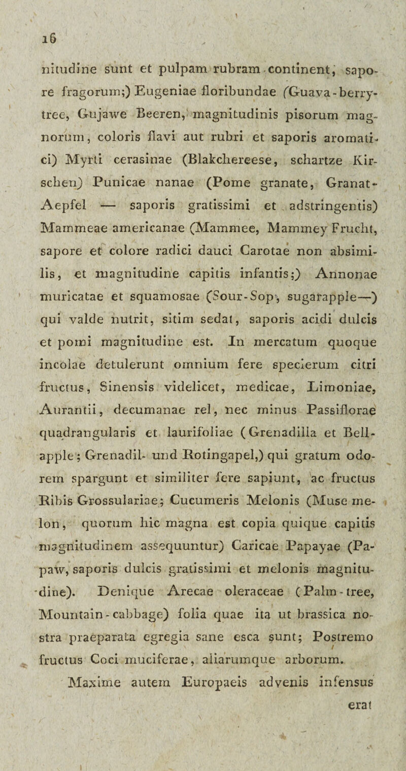 1 i6 nitudine sunt et pulpam rubram continent, sapo¬ re fragorum;) Eugeniae floribundae (Guava-berry- tree, Gujawe Beeren, magnitudinis pisorum mag¬ norum, coloris flavi aut rubri et saporis aromati¬ ci) Myrti cerasinae (Blakchereese, schartze Kir- sclien) Punicae nanae (Pome granate, Granat- Aepfel — saporis gratissimi et adstringentis) Mammeae americanae (Mammee, Mammey Frucht, sapore et colore radici dauci Carotae non absimi¬ lis, et magnitudine capitis infantis;) Annonae muricatae et squamosae (Sour-Sop, sugarapple—) qui valde nutrit, sitim sedat, saporis acidi dulcis et pomi magnitudine est. In mercatum quoque incolae detulerunt omnium fere specierum citri fructus, Sinensis videlicet, medicae, Eimoniae, Aurantii, decumanae rei, nec minus Passiflorae quadrangularis et laurifoliae (Grenadiiia et Bell- apple; Grenadil- und Kotingapel,) qui gratum odo¬ rem spargunt et similiter fere sapiunt, ac fructus Ribis Grossulariae; Cucumeris Melonis (Muse me- lon, quorum liic magna est copia quique capitis magnitudinem assequuntur) Caricae Papayae (Pa- paw, saporis dulcis gratissimi et melonis magnitu¬ dine). Denique Arecae oleraceae (Palm-tree, Mountain - cabbage) folia quae ita ut brassica no¬ stra praeparata egregia sane esca sunt; Postremo fructus Coci muciferae, aliarumque arborum. Maxime autem Europaeis advenis infensus erat