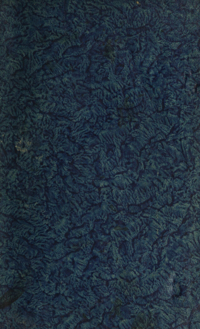 digitised image 1