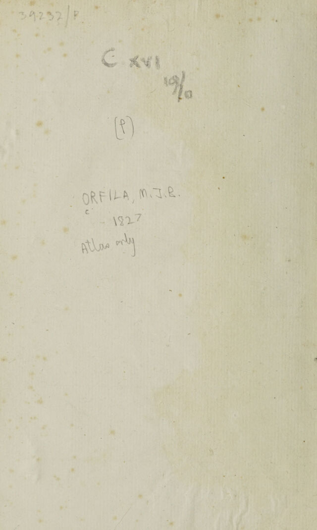digitised image 2