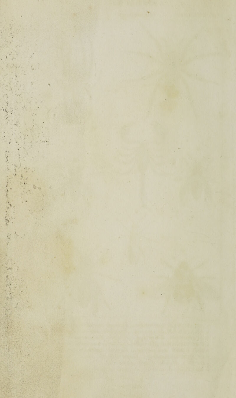 r ‘ . ■ • \ . • - - f-Ï. ‘ * J K.. f *4 ; '•* /' * • ?• / Y- ' 1 . i M - •; V » v ■' .V- ■■ ■ . * *. ■ '■ ■■■■•v- „ • ■ • • -