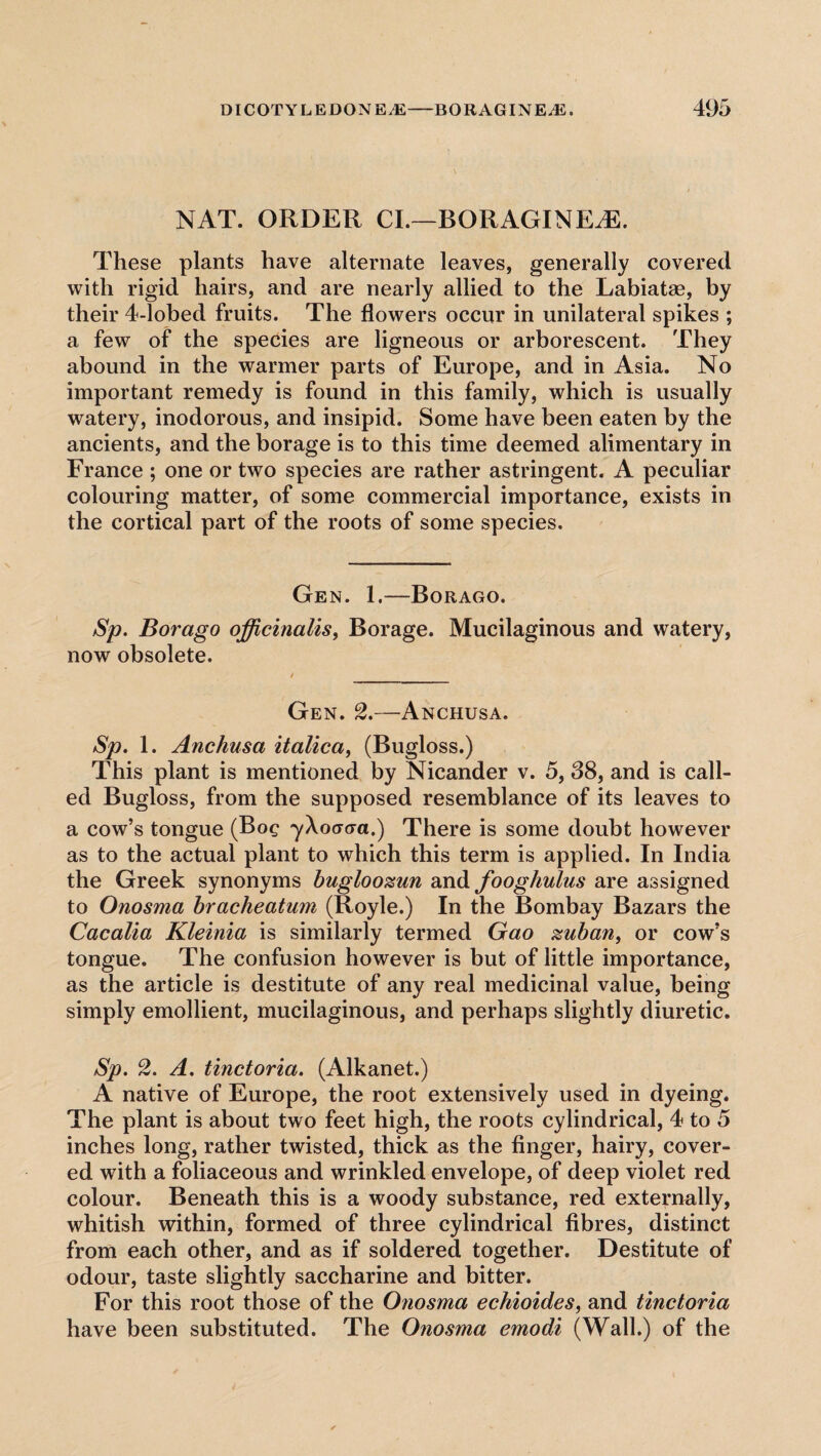 NAT. ORDER Cl.—BORAGINEiE. These plants have alternate leaves, generally covered with rigid hairs, and are nearly allied to the Labiatse, by their 4-lobed fruits. The flowers occur in unilateral spikes ; a few of the species are ligneous or arborescent. They abound in the warmer parts of Europe, and in Asia. No important remedy is found in this family, which is usually watery, inodorous, and insipid. Some have been eaten by the ancients, and the borage is to this time deemed alimentary in France ; one or two species are rather astringent. A peculiar colouring matter, of some commercial importance, exists in the cortical part of the roots of some species. Gen. 1.—Borago. Sp. Borago officinalis, Borage. Mucilaginous and watery, now obsolete. / Gen. 2.—Anchusa. Sp. 1. Anchusa italica, (Bugloss.) This plant is mentioned by Nicander v. 5, 38, and is call¬ ed Bugloss, from the supposed resemblance of its leaves to a cow’s tongue (Boq yXoacra.) There is some doubt however as to the actual plant to which this term is applied. In India the Greek synonyms bugloozun and fooghulus are assigned to Onosma bracheatum (Royle.) In the Bombay Bazars the Cacalia Kleinia is similarly termed Gao zuban, or cow’s tongue. The confusion however is but of little importance, as the article is destitute of any real medicinal value, being simply emollient, mucilaginous, and perhaps slightly diuretic. Sp. 2. A. tinctoria. (Alkanet.) A native of Europe, the root extensively used in dyeing. The plant is about two feet high, the roots cylindrical, 4 to 5 inches long, rather twisted, thick as the finger, hairy, cover¬ ed with a foliaceous and wrinkled envelope, of deep violet red colour. Beneath this is a woody substance, red externally, whitish within, formed of three cylindrical fibres, distinct from each other, and as if soldered together. Destitute of odour, taste slightly saccharine and bitter. For this root those of the Onosma echioides, and tinctoria have been substituted. The Onosma emodi (Wall.) of the