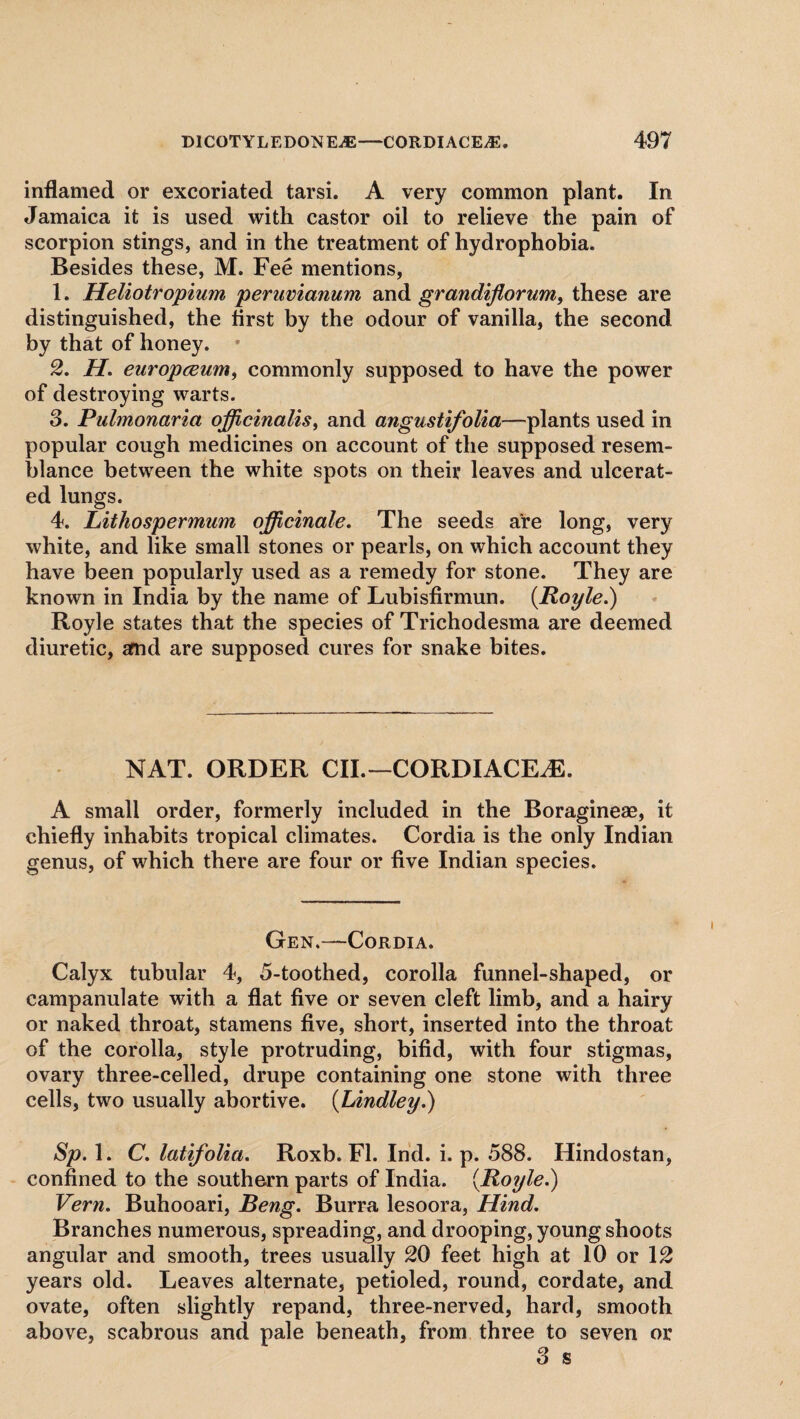 inflamed or excoriated tarsi. A very common plant. In Jamaica it is used with castor oil to relieve the pain of scorpion stings, and in the treatment of hydrophobia. Besides these, M. Fee mentions, 1. Heliotropium peruvianum and grondiflorum, these are distinguished, the first by the odour of vanilla, the second by that of honey. * 2. H. europium, commonly supposed to have the power of destroying warts. 3. Pulmonaria officinalis, and angustifolia—plants used in popular cough medicines on account of the supposed resem¬ blance between the white spots on their leaves and ulcerat¬ ed lungs. 4. Lithospermum officinale. The seeds are long, very white, and like small stones or pearls, on which account they have been popularly used as a remedy for stone. They are known in India by the name of Lubisfirmun. (Royle.) Royle states that the species of Trichodesma are deemed diuretic, amd are supposed cures for snake bites. NAT. ORDER CII.—CORDIACE^E. A small order, formerly included in the Boragineae, it chiefly inhabits tropical climates. Cordia is the only Indian genus, of which there are four or five Indian species. Gen.—Cordia. Calyx tubular 4, 5-toothed, corolla funnel-shaped, or campanulate with a flat five or seven cleft limb, and a hairy or naked throat, stamens five, short, inserted into the throat of the corolla, style protruding, bifid, with four stigmas, ovary three-celled, drupe containing one stone with three cells, two usually abortive. (Lindley.) Sp. 1. C. latifolia. Roxb. FI. Ind. i. p. 588. Hindostan, confined to the southern parts of India. (Royle.) Vern. Buhooari, Beng. Burra lesoora, Hind. Branches numerous, spreading, and drooping, young shoots angular and smooth, trees usually 20 feet high at 10 or 12 years old. Leaves alternate, petioled, round, cordate, and ovate, often slightly repand, three-nerved, hard, smooth above, scabrous and pale beneath, from three to seven or 3 s