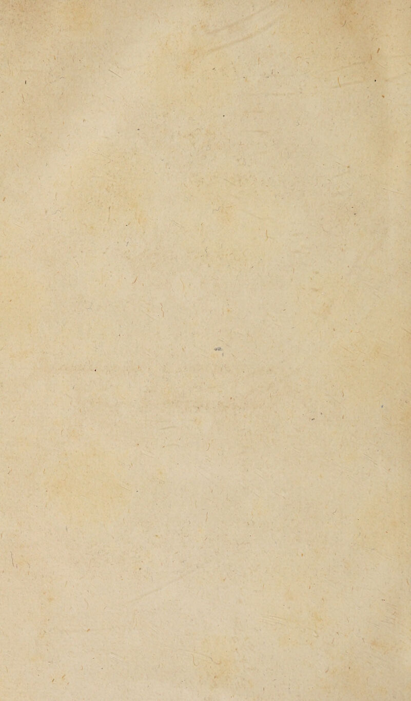 ' J ■ ’ • ' I \i * ( I , ) / /, J) l •v J ' ■ \