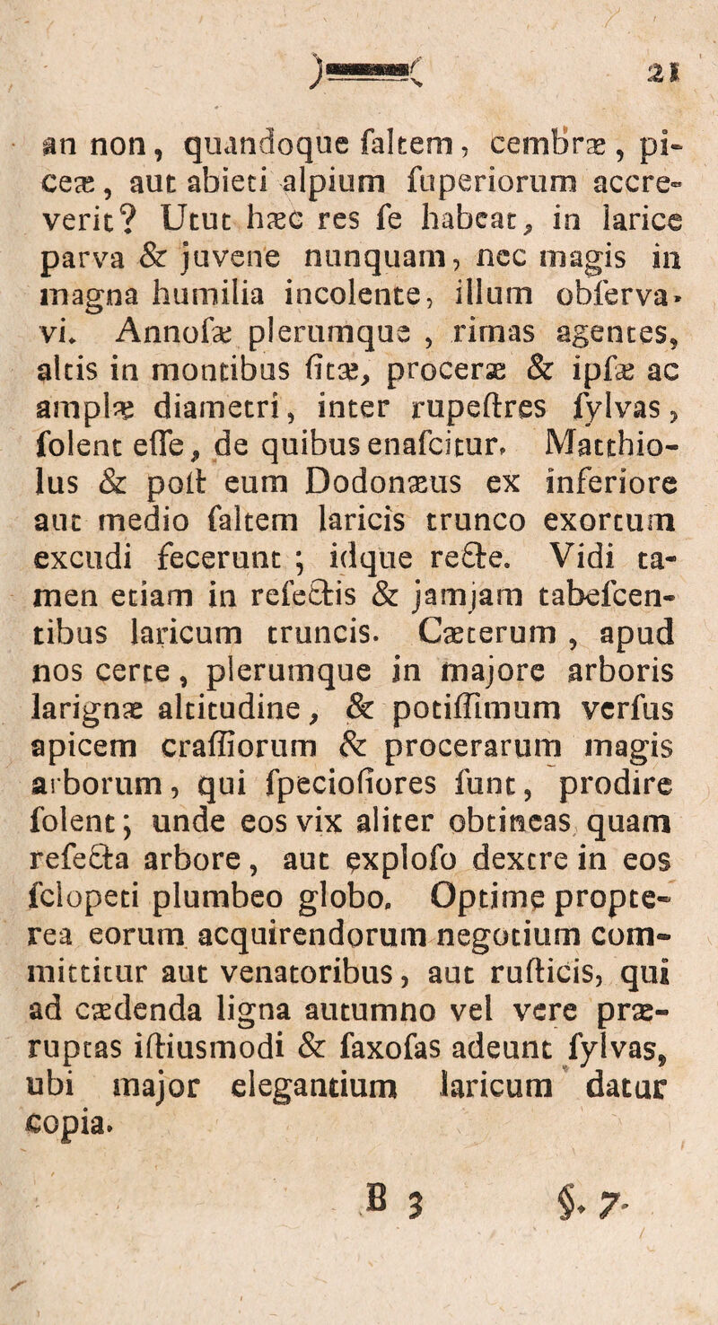 an non, quandoque falcem, cembrse , pi¬ ces , aut abieti alpium fuperiorum accre¬ verit? Utut haec res fe habeat, in larice parva & juvene nunquam, ncc magis in magna humilia incolente, illum obferva» vi. Annofs plerumque , rimas agentes, altis in montibus litae, procerae & ipfae ac ampls diametri, inter rupeftres fylvas, folent efle, de quibus enafeitur. Matchio- lus & polt eum Dodonaeus ex inferiore aut medio faltem laricis trunco exortum excudi fecerunt ; id que re£te. Vidi ta¬ men etiam in refeftis & jamjam tabefcen- tibus laricum truncis. Caecerum , apud nos certe, plerumque in majore arboris larignae altitudine, & potiffimum verfus apicem craffiorum & procerarum magis arborum, qui fpecioliores funt, prodire folent; unde eos vix aliter obtineas quam refe&a arbore, aut explofo dextre in eos felopeti plumbeo globo. Optime propte- rea eorum acquirendorum negotium com- mittitur aut venatoribus, aut ruflicis, qui ad caedenda ligna autumno vel vere prae¬ ruptas iftiusmodi & faxofas adeunt fylvas, ubi major elegantium laricum datur copia. Bj §. 7.