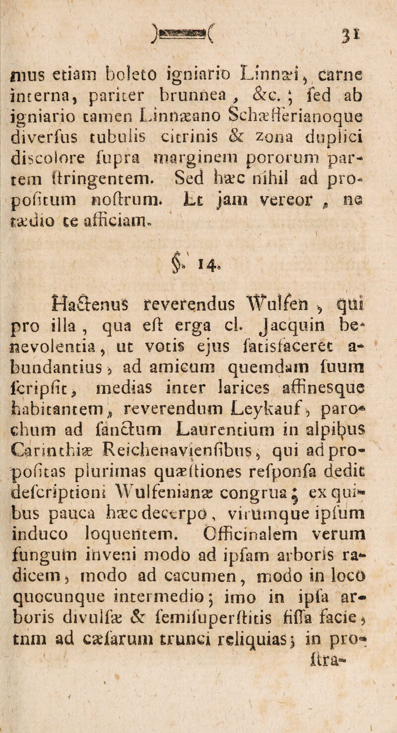 p mus etiam boleto igniario Lirina*!, carne interna, pariter brunnea , &c. ; fed ab igniario tamen Linnwano Schxfferianoque diverfns tubulis citrinis & zona duplici discolore fupra marginem pororum par¬ tem ftringentem. Sed hatc nihil ad pro- politum noflxum. Lt jam vereor , ne rxdio te afficiam. i §•' 14. 1 HaftenuS reverendus Wulfeii , qui pro illa , qua eft erga cl. Jacquin be¬ nevolentia , ut votis ejus fatislacerec a- bundantius , ad amicum quemdam fuum icriplit, medias inter larices affinesque habitantem, reverendum Leykauf, paro* chum ad fa netum Laurentium in alpityus Carinthix Reichenavienfibus, qui adpro- pofitas plurimas quaeltiones refponfa dedit defcriptiom Wulfenianse congrua^ ex qui¬ bus pauca htec decerpo , virumque lpfum induco loquentem. Cfficinalem verum fungum inveni modo ad ipfam arboris ra¬ dicem , modo ad cacumen, modo in loco quocunque intermedio; imo in ipfa ar¬ boris divulfa; & femiluperftitis fifla facie, tnm ad exfarum trunci reliquias j in pro- itra- y