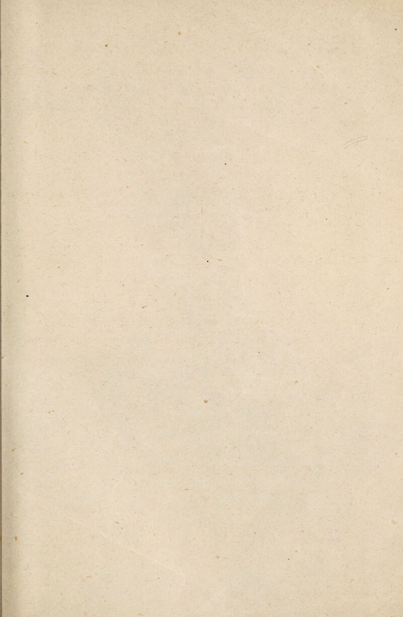 i: r' ■K- ' # P.'* > V . < >> % • ‘-í r r- :' V ■\ •rr ■ •% /*• ) V 1.: ST.' '!^, J #í.' Ir' / ?- V ,. ;f 1 .- /