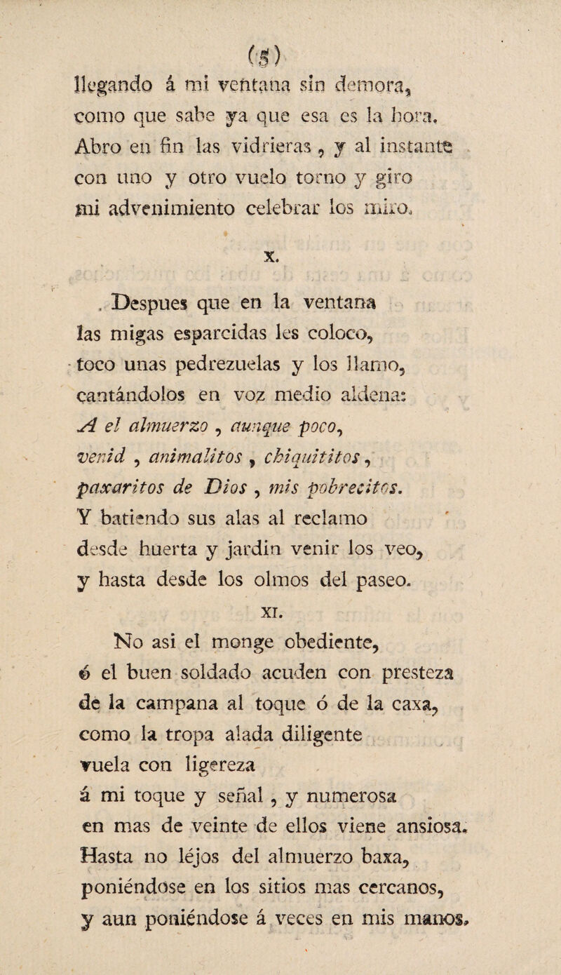 como que sabe ya que esa es la hora. Abro en fin las vidrieras , y al instante con uno y otro vuelo torno y giro mi advenimiento celebrar los miro, x. . Después que en la ventana las migas esparcidas les coloco, toco unas pedrezuelas y los llamo, cantándolos en voz medio aldena: si el almuerzo , aunque poco, venid , animalitos , ckiquititos, paxaritos de Dios , mis pobreeitos. Y batiendo sus alas al reclamo desde huerta y jardín venir los veo, y hasta desde los olmos del paseo. XI. No asi el monge obediente, é el buen soldado acuden con presteza de la campana al toque ó de la caxa, como la tropa alada diligente vuela con ligereza á mi toque y señal , y numerosa en mas de veinte de ellos viene ansiosa. Hasta no léjos del almuerzo baxa, poniéndose en ios sitios mas cercanos, y aun poniéndose á veces en mis manos.