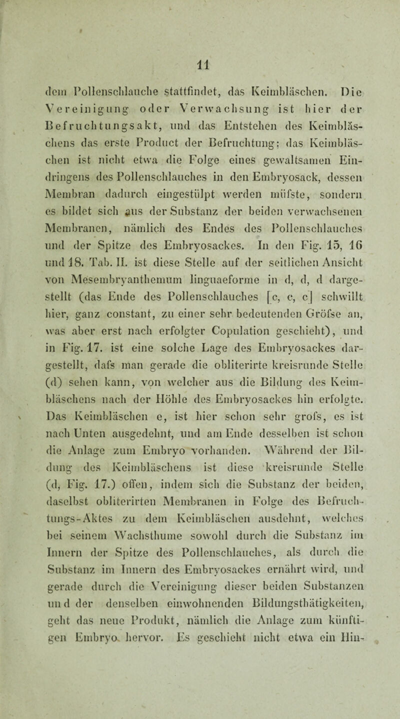 dom Pollenschlauche stattfindet, das Keimbläschen. Die Vereinigung oder Ver\vachsung ist hier der Bef nicht u ngsa kt, und das Entstehen des Keimbläs¬ chens das erste Product der Befruchtung; das Keimbläs¬ chen ist nicht etwa die Folge eines gewaltsamen Ein¬ dringens des Pollenschlauches in den Embryosack, dessen Membran dadurch eingestülpt werden miifste, sondern es bildet sich aus der Substanz der beiden verwachsenen Membranen, nämlich des Endes des Pollenschlauches und der Spitze des Embryosackes. In den Fig. 15, 16 und 18. Tab. II. ist diese Stelle auf der seitlichen Ansicht von Mesembryanthemum linguaeforme in d, d, d darge¬ stellt (das Ende des Pollenschlauches fc, c, c| schwillt hier, ganz constant, zu einer sehr bedeutenden Gröfse an, was aber erst nach erfolgter Copulation geschieht), und in Fig. 17. ist eine solche Lage des Embryosackes dar¬ gestellt, dafs man gerade die obliterirte kreisrunde Stelle (d) sehen kann, von welcher aus die Bildung des Keim¬ bläschens nach der Ilöhle des Embryosackes hin erfolgte. Das Keimbläschen e, ist hier schon sehr grofs, es ist nach Unten ausgedehnt, und am Ende desselben ist schon die Anlage zum Embryo vorhanden. Während der Bil¬ dung des Keimbläschens ist diese kreisrunde Stelle (d, Fig. 17.) offen, indem sich die Substanz der beiden, daselbst obliterirten Membranen in Folge des Befruch¬ tungs-Aktes zu dem Keimbläschen ausdehnt, welches bei seinem Wachsthume sowohl durch die Substanz im Innern der Spitze des Pollenschlauches, als durch die Substanz im Innern des Embryosackes ernährt wird, und gerade durch die Vereinigung dieser beiden Substanzen un d der denselben einwohnenden Bildungsthätigkeiten, geht das neue Produkt, nämlich die Anlage zum künfti¬ gen Embryo, hervor. Es geschieht nicht etwa ein llin-