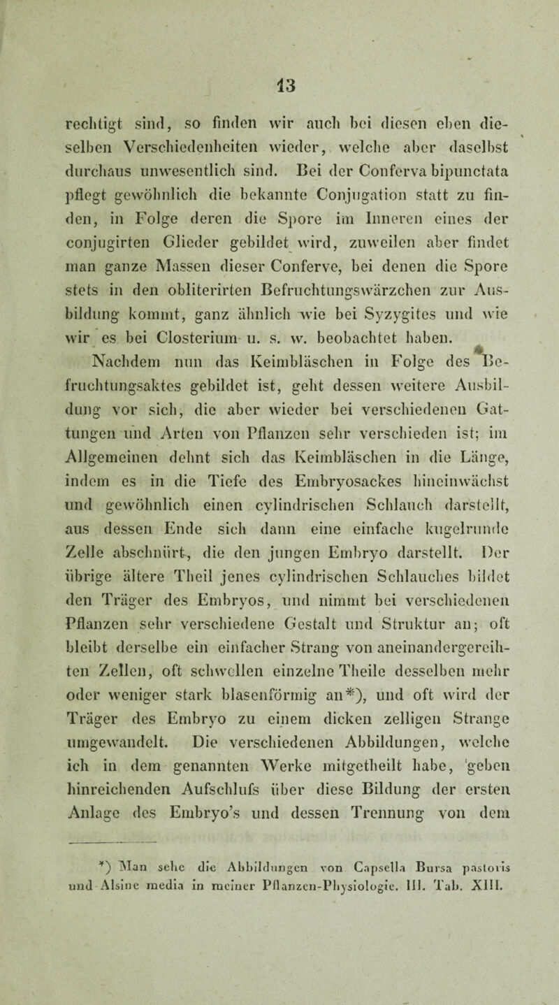 rechtigt sind, so finden wir auch bei diesen eben die¬ selben Verschiedenheiten wieder, welche aber daselbst durchaus unwesentlich sind. Bei der Conferva bipunctata pflegt gewöhnlich die bekannte Conjugation statt zu fin¬ den, in Folge deren die Spore im Inneren eines der conjugirten Glieder gebildet wird, zuweilen aber findet man ganze Massen dieser Conferve, bei denen die Spore stets in den obliterirten Befruchtungswärzchen zur Aus¬ bildung kommt, ganz ähnlich wie bei Syzygites und wie wir es bei Closterium u. s. w. beobachtet haben. Nachdem nun das Keimbläschen in Folge des Be¬ fruchtungsaktes gebildet ist, geht dessen weitere Ausbil¬ dung vor sich, die aber wieder bei verschiedenen Gat¬ tungen und Arten von Pflanzen sehr verschieden ist; im Allgemeinen dehnt sich das Keimbläschen in die Länge, indem es in die Tiefe des Embryosackes hineinwächst und gewöhnlich einen cylindrischen Schlauch darstellt, aus dessen Ende sich dann eine einfache kugelrunde Zelle abschnürt, die den jungen Embryo darstellt. Der übrige ältere Theil jenes cylindrischen Schlauches bildet den Träger des Embryos, und nimmt bei verschiedenen Pflanzen sehr verschiedene Gestalt und Struktur an; oft bleibt derselbe ein einfacher Strang von aneinandergereih- ten Zellen, oft schwellen einzelne Theile desselben mehr oder weniger stark blasenförmig an*), und oft wird der Träger des Embryo zu einem dicken zelligen Strange umgewandelt. Die verschiedenen Abbildungen, welche ich in dem genannten Werke mitgetheilt habe, geben hinreichenden Aufschlufs über diese Bildung der ersten Anlage des Embryo’s und dessen Trennung von dem *) Man sehe die Abbildungen von Capselia Bursa pasloiis und Alsine raedia in meiner Pflanzcn-Physiologie. 111. Tab. Xlll.