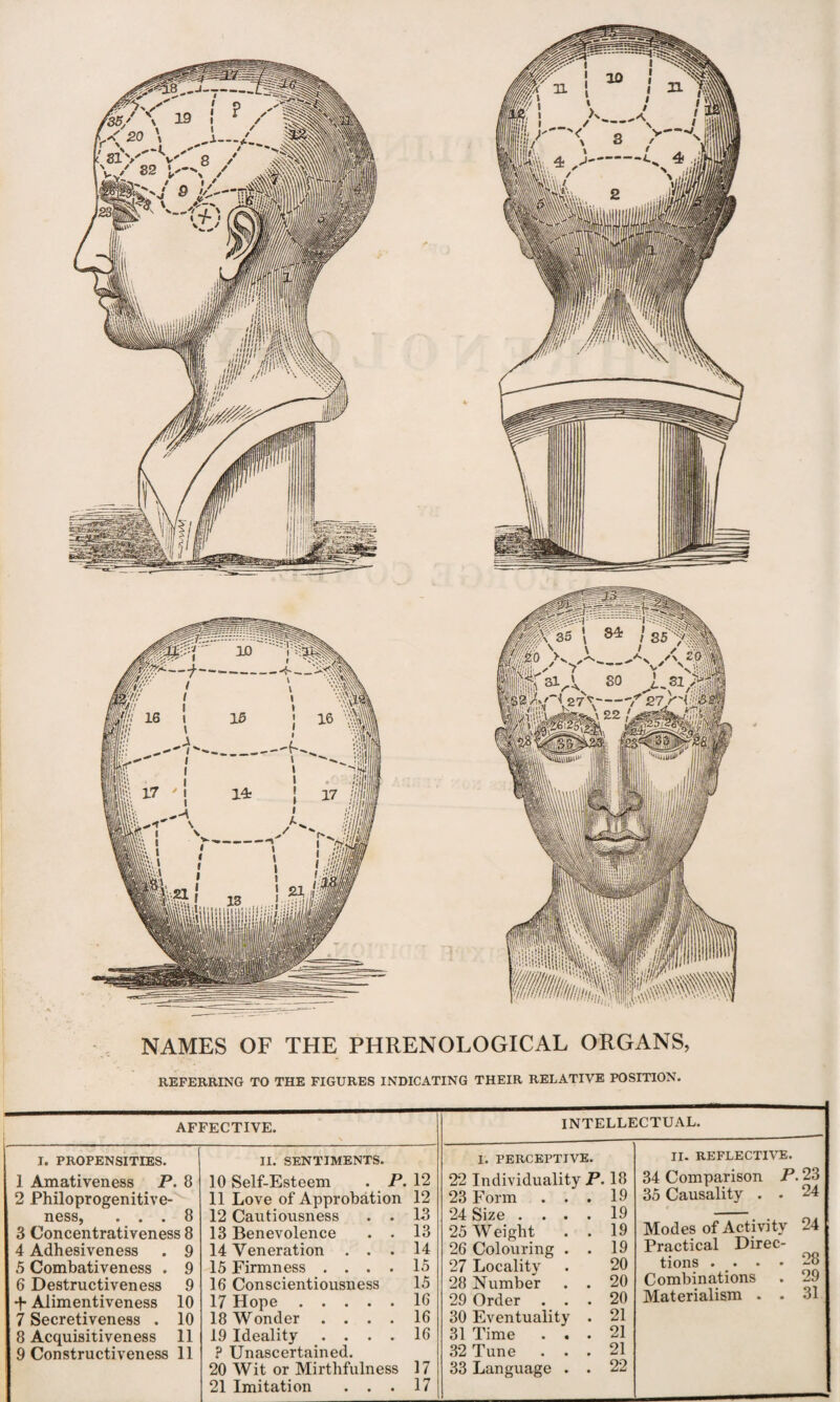 NAMES OF THE PHRENOLOGICAL ORGANS, REFERRING TO THE FIGURES INDICATING THEIR RELATIVE POSITION. AFFECTIVE. INTELLECTUAL. I. PROPENSITIES. 1 Amativeness P. 8 2 Philoprogenitive¬ ness, ... 8 3 Concentrativeness 8 4 Adhesiveness . 9 5 Combativeness . 9 6 Destructiveness 9 *f- Alimentiveness 10 7 Secretiveness . 10 8 Acquisitiveness 11 9 Constructiveness 11 II. SENTIMENTS. 10 Self-Esteem . P. 12 11 Love of Approbation 12 12 Cautiousness . . 13 13 Benevolence . . 13 14 Veneration ... 14 15 Firmness .... 15 16 Conscientiousness 15 17 Hope.16 18 Wonder .... 16 19 Ideality .... 16 ? Unascertained. 20 Wit or Mirthfulness 17 21 Imitation ... 17 I. PERCEPTIVE. 22 Individuality P. 18 23 Form ... 19 24 Size .... 19 25 Weight . . 19 26 Colouring . . 19 27 Locality . 20 28 Number . . 20 29 Order ... 20 30 Eventuality . 21 31 Time ... 21 32 Tune ... 21 33 Language . . 22 II. REFLECTIVE. 34 Comparison P. 23 35 Causality . . 24 Modes of Activity 24 Practical Direc- tions . • • 28 Combinations . 29 Materialism . . 31