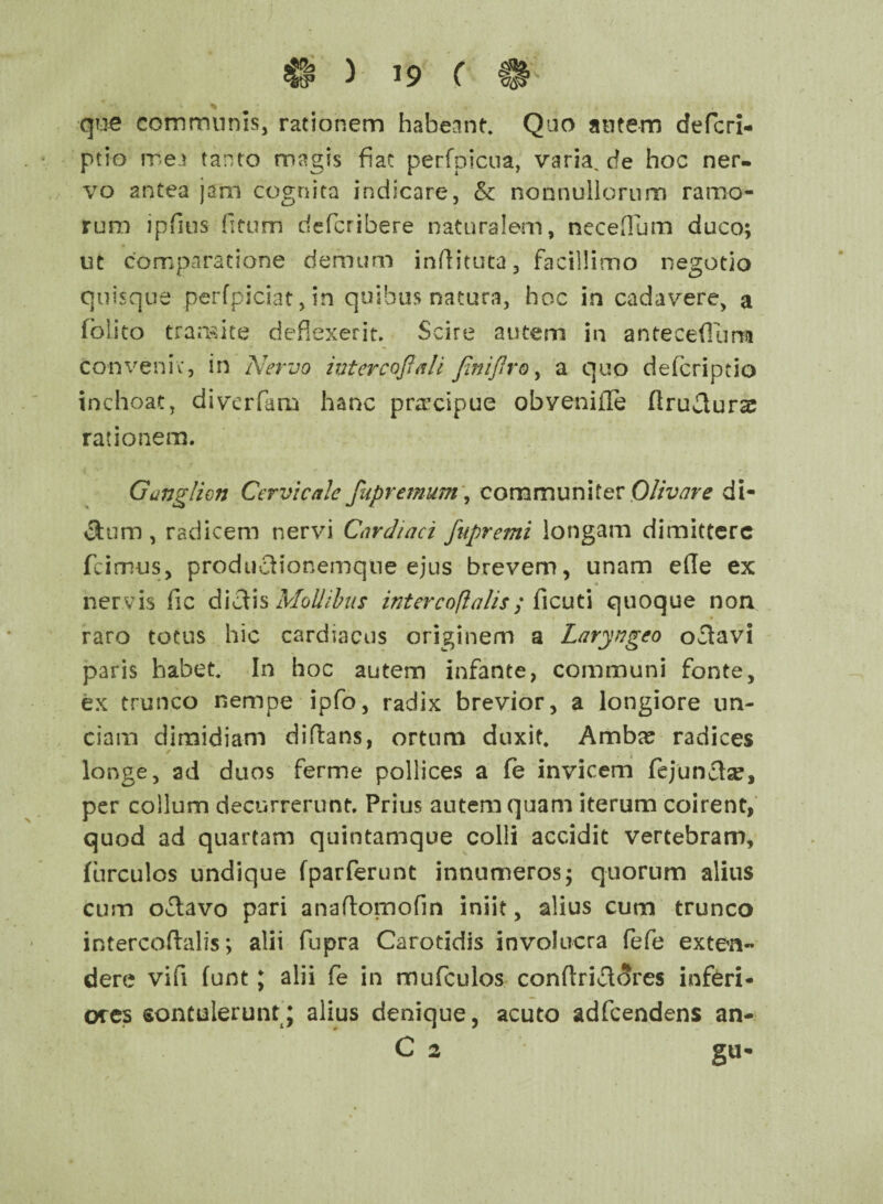© > 19 C H' % que communis, rationem habeant. Quo autem defcri- ptio me» tanto magis fiat perfpicua, varia, rfe hoc ner¬ vo antea jam cognita indicare, & nonnullorum ramo¬ rum ipfius fitum defcribere naturalem, neceUum duco; ut comparatione demum infiituta, facillimo negotio quisque perfpiciat, in quibus natura, hoc in cadavere, a folleo tramite deflexerit. Scire autem in antecedam convenit, in Nervo intercojlali Jlniflro, a quo deferiptio inchoat, diverfam hanc praxipue obvenifle flruv^urae rationem. Ganglion Cervicale fupremum, communiter Olivare di- cfoim , radicem nervi Cardiaci fupremi longam dimittere fcimus, producHonemqne ejus brevem, unam ede ex nervis fic dictis Mollibus interco fla lis ; fi c u t i quoque non raro totus hic cardiacus originem a Laryngeo oflavi paris habet. In hoc autem infante, communi fonte, ex trunco nempe ipfo, radix brevior, a longiore un¬ ciam dimidiam diflans, ortum duxit. Ambte radices ✓ longe, ad duos ferme pollices a fe invicem fejunflse, per collum decurrerunt. Prius autem quam iterum coirent, quod ad quartam quintamque colli accidit vertebram, furculos undique fparferunt innumeros; quorum alius cum oclavo pari anaflomofin iniit, alius cum trunco intercoftalis; alii fupra Carotidis involucra fefe exten¬ dere vifi funt; alii fe in mufculos conftricl<?res inferi¬ ores eontulerunt; alius denique, acuto adfcendens an- C 2 gU-