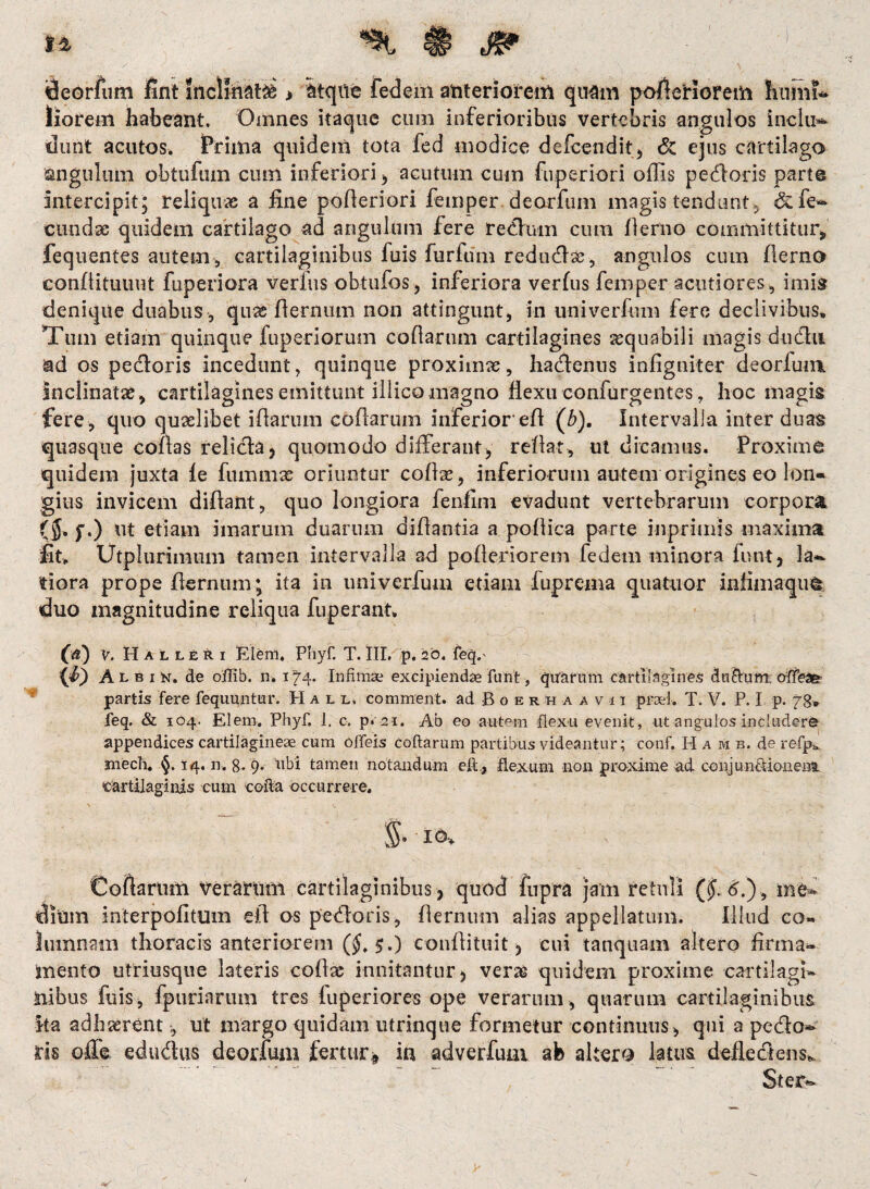 Seorfiim fint inclinati > itqiie fedem anteriorem quam pofi eri orem humi¬ liorem habeant. Omnes itaque cum inferioribus vertebris angulos inclu¬ dunt acutos. Prima quidem tota fed modice defcendit, & ejus cartilago angulum obtufiun cum inferiori , acutum cum fuperiori offis pedoris parte intercipit; reliquas a fine polleriori femper. deorfum magis tendunt . & fe¬ cundae quidem cartilago ad angulum fere redum cum fi emo committitur, fequentes autem, cartilaginibus fuis furfum redii (fias, angulos cum fierno confiituuut fuperiora verius obtufos, inferiora verius femper acutiores , imis denique duabus , quae fiernum non attingunt, in univerfum fere declivibus. Tum etiam quinque fuperiorum cofiarum cartilagines aequabili magis ducfiu ad os pecfioris incedunt, quinque proximae, hadenns infigniter deorfum Inclinatae , cartilagines emittunt illico magno flexu confurgentes 7 hoc magis fere, quo quaelibet illarum collarum inferior-efl (b). Intervalla inter duas quasque collas relida, quomodo differant, reflat, ut dicamus. Proxime quidem juxta le fummae oriuntur collae, inferiorum autem origines eo lon¬ gius invicem diftant, quo longiora fenfini evadunt vertebrarum corpora (S* f.) ut etiam imarum duarum diflantia a pofiica parte inprimis maxima ■fit» Utplurimum tamen intervalla ad polleriorem fedem minora funtj la¬ tiora prope fiernum; ita in univerfum etiam luprema quatuor infimaquet duo magnitudine reliqua fuperant. (&) V. Hall£ri Elem. Phyf. T. III. p. 20. feq,- {i) Alb i K. de offib. n. 174. Infimae excipiendae funt, quarum cartilagines du&um offea?- partis fere fequuntur. Hall, comment. ad Boerhaavu praei. T. ¥. P. I p. 78* feq. & 104. Elem. Phyf. 1. c. p. 21. Ab eo autem flexu evenit, ut angulos includere appendices cartilagineae cum offeis coftarum partibus videantur; conf. H a m b. de refp* mecli. §. 14. n. 8- 9- tibi tamen notandum efl:., flexum non proxime ad conjunftioneui cartilaginis cum cofla occurrere. $• id» Cofiarum Verarum cartilaginibus , quod fupra jam retuli ($„<?.) , me— dium interpofitum eil os pedoris, fiernum alias appellatum. Illud co¬ lumnam thoracis anteriorem $.) confiituit, cui tanquam altero firma¬ mento utriusque lateris collae innitantur > verae quidem proxime cartilagi¬ nibus fuis, fp udarum tres luperiores ope verarum, quarum cartilaginibus ka adhaerent, ut margo quidam utrinque formetur continuus, qui a pedo¬ ris offe edudus deorfum fertur* in adverfum afe altero latus defledem* Ster-