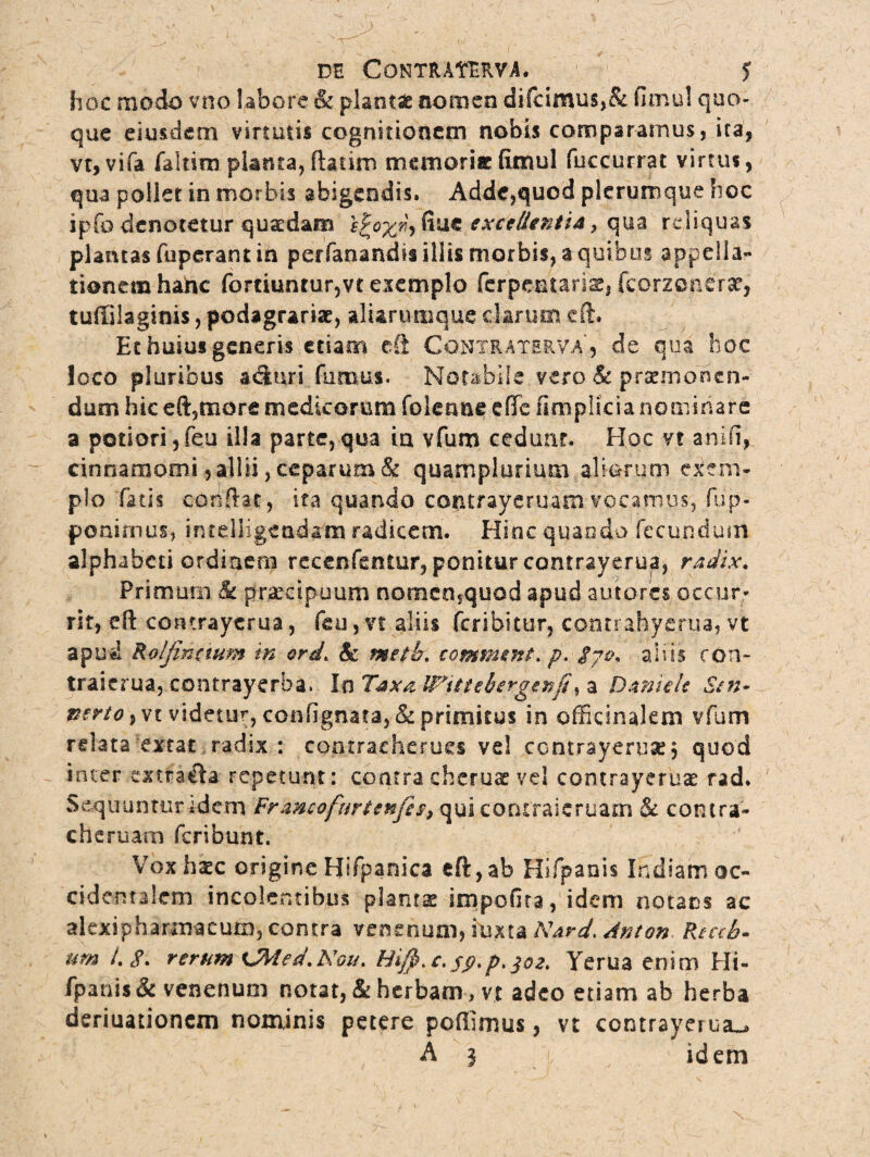 hoc modo vno labore & plantae nomen difcimu$,& fimul quo¬ que eiusdem virtutis cognitionem nobis comparamus, ita, vt, vifa faltim planta, ftariro memoriae fimul fuccurrat virtus, qua pollet in morbis abigendis. Adde,quod plerumque hoc ipfo denotetur quadam ePox^ fiuc excedentia , qua reliquas plantas fuperant in perfanandis illis morbis, a quibus appella¬ tionem hanc fortnmrur,vtexemplo ferpentarisj, fcorzonerar, tuffilaginis, podagrariae, alhrumque clarum eft» Et huius generis etiam cft Contraterva', de qua hoc Joco pluribus a biuri fumus. Notabile vero & praemonen¬ dum hic eft,tnore medicorum (blenne effe firnplicia nominare a potiorijfeu illa parte,qua ia vfum cedunt. Hoc vt anifi, cinnamomi , allii, ceparum & quamplurium aliarum exem¬ plo fatis conflat, ita quando contrayeruam vocamus, fup- po ni mus, intelligeadam radicem. Hinc quando fecundum alphabeti ordinem recenfentur, ponitur contrayerua, radix. Primum & praecipuum nomcn5quod apud amores occur¬ rit, eft contrayerua, feu, vt aliis feribitur, contrahye/ua, vt apud Roljincuim in ord* Sc meth\ comment* p. $?c\ aliis con- traicrua, contrayerba. In Taxa- IFittebergenfi, a Daniels Stn- turto, vt videtur, confignata, & primitus in offidrukm vfum relata extat radix : contracherucs vel contrayerua, quod inter extraita repetunt: contra chorus vel contrayeruse rad. Sequuntur Idem Fr&ncofnrtenfis, qui contraicruam & contra- che ruam feribunt. Vox hxc origine Hifpanica eft,ab Hifpanis Indiam oc¬ cidentalem incolentibus plants impofita, idem notans ac alexipharmacum, contra venenum, iuxta Nard, Anton Reccb* urn t.8. rerum CWed.Noi/. Hi$*c.sp.p. J02, Yerua enim Hi- fpanis& venenum notat, & herbam , vt adeo etiam ab herba deriuationem nominis petere pedimus, vt contrayerua^» A 3 idem