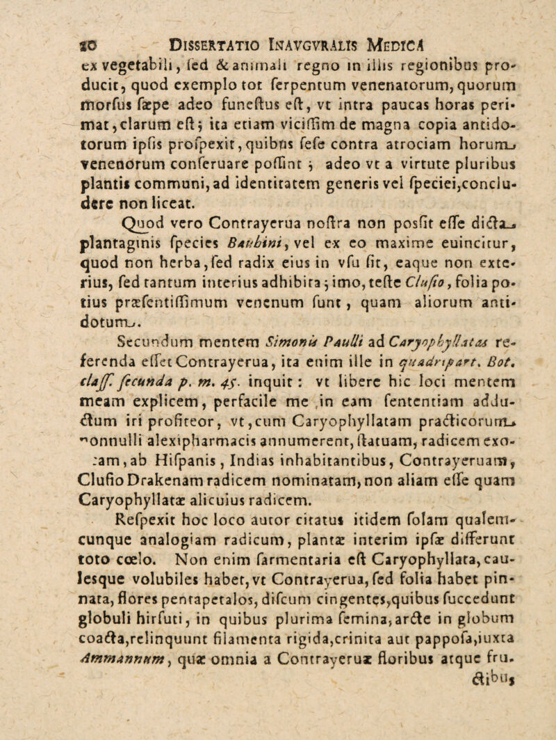 ex vegetabili, (ed & animali regno in illis regionibus pro¬ ducit, quod exemplo tot ferpentum venenatorum, quorum morfus facpe adeo funedus ed, vt intra paucas horas peri¬ mat, clarum eftj ita etiam viciffimde magna copia antido¬ torum ipfis profpexit,quibus fefe contra atrociam horum_» venenorum conferuare podint } adeo vt a virtute pluribus pianti* communi, ad identitatem generis vel fpeciei,conclu¬ dere non liceat. Quod vero Contrayerua nodra non posfit ede diifcu* plantaginis fpecics Baubini^yti ex eo maxime euincitur, quod non herba,fed radix eius in vfu fit, eaque non exte¬ rius, fed tantum interius adhibita} imo, tede Cia fio, folia po¬ tius prsefentidimum venenum funt, quam aliorum anti¬ dotum^. Secundum mentem Simoni* Paulli z&CaryopbyUatas re¬ ferenda effetContrayerua, ita enim ille in quadnpart* Bot• claff fecunda p. m. #*. inquit: vt libere hic loci mentem meam explicem, perfacile me ,in eam fententiam addu¬ ctum iri profiteor, vt,cum Caryophyllatam praCticorum.* ^onnulli alexipharmacis annumerent, ftatuam, radicem exo- :am,ab Hifpanis, Indias inhabitantibus, Contrayeruam, ClufioDrakenamradicem nominatam,non aliam ede quam Caryophyllatae alicuius radicem. Refpexit hoc loco autor citatu* itidem folam qualem¬ cunque analogiam radicum, planta: interim ipfae differunt toto coelo. Non enim farmentaria ed Caryophyllata, cau¬ lesque volubiles habet, vt Contrayerua, fed folia habet pin¬ nata, flores penrapetalos, difeum cingentes,quibus fuccedunt globuli hirfuti, in quibus plurima femina,arde in globum coafta,relinquunt filamenta rigida,crinita aut pappofa,iuxta Ammannum, quae omnia a Comrayeruac floribus atque fru. (dibiij