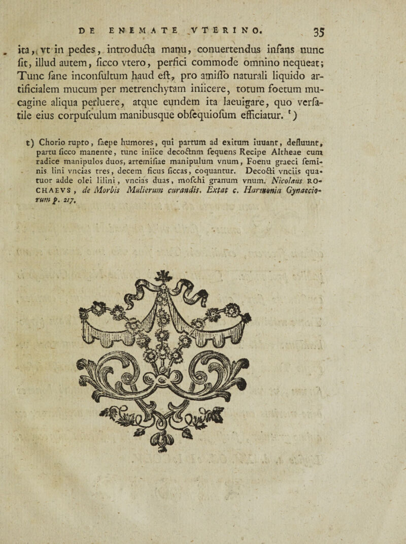. ita n vt in pedes, introdu&a manu, conuertendus infans nunc fit, illud autem, ficco vtero, perfici commode omnino nequeat; Tunc fane inconfiiitum haud eft, pro amiiTo naturali liquido ar¬ tificialem mucum per metrenchytam iniicere, totum foetum mu- cagine aliqua perluere, atque eundem ita laeuigare, quo verfa- tile eius corpufculum manibusque obfequiolum efficiatur. t) t) Chorio rupto, faepe humores, qui partum ad exitum iuuant, defluunt, partu ficco manente, tunc iniice deco&nm fequens Recipe Altheae cum radice manipulos duos, arternifiae manipulum vnum, Foenu graeci femi¬ nis lini vncias tres, decem ficus ficcas, coquantur. Deco&i vnciis qua» tuor adde olei lilini, vncias duas, mofchi granum vnum. Nicolaus RO- chaevs , de Morbis Mulierum curandis. Ext at c. Harmonia Gynaecio- rum f>. 217,