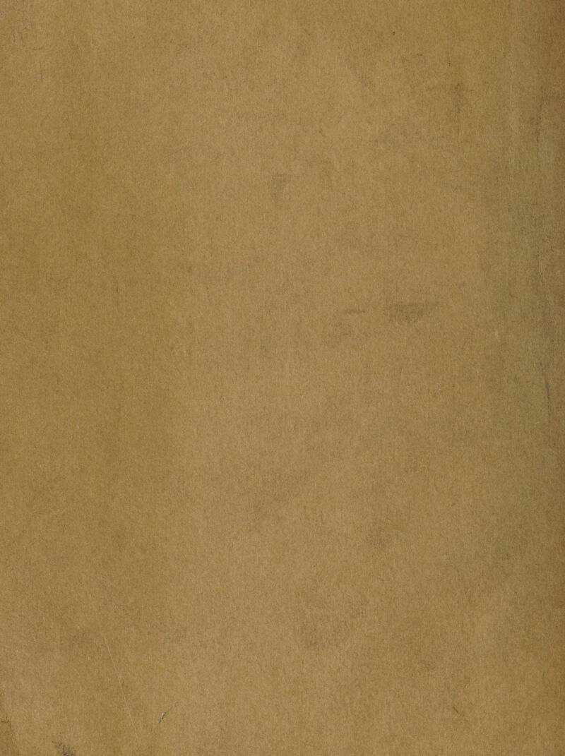 . ;-e* ' ‘ ’% f v •3 J“|'1 ■ ':wrf Wm ^m: yj' T& '•- S^f -■•*\‘ fe$§| ■:''-v:f|? • 1 .:• ||p§ '. « • ’ c,v-r. • ,o'V wffiy>. ■$■■ 4^v,sfc ) '■ ? ■■■'/;: 4  •; ■:■ ■'.. ■ >■'•. $'< ',i V<fc 'i?5« J 'V: - #•** i(3t mWywywwWfcm}* ■ ' ■ ■•>•■ ' ^ w liv-t'! - > -mmi s>y'^.  ■):■: i -■ ,'•*$■$$.$ W' : ?.-v‘ < i: /' 'C • v*• • .... ;, . . V •;, • ; ?Jjv ■ ,\- •* • > • »,*, 4• »Jfl* •-, C'' j**’-»' - £rV ••* ,1 -'«v *-•' -Sw-t , 'jjf’ 1 >. v' «M , 1' ,. ■ ■ •-■ ■/. ... ■.<■!■■ :■ j • „ ■ ' '• • «■: »t-v < . . .•'■■■ V' . . :l • -■■ >■, > V. fpSPS liwj ♦m f‘u >V.-* ' 'VK ■'■■■■> -• ■ V., 'V:W. it ^. ■ ■:. ■•>- v!', %wi'v3 %’'•;; 4:\ ■ - . > - : v;1