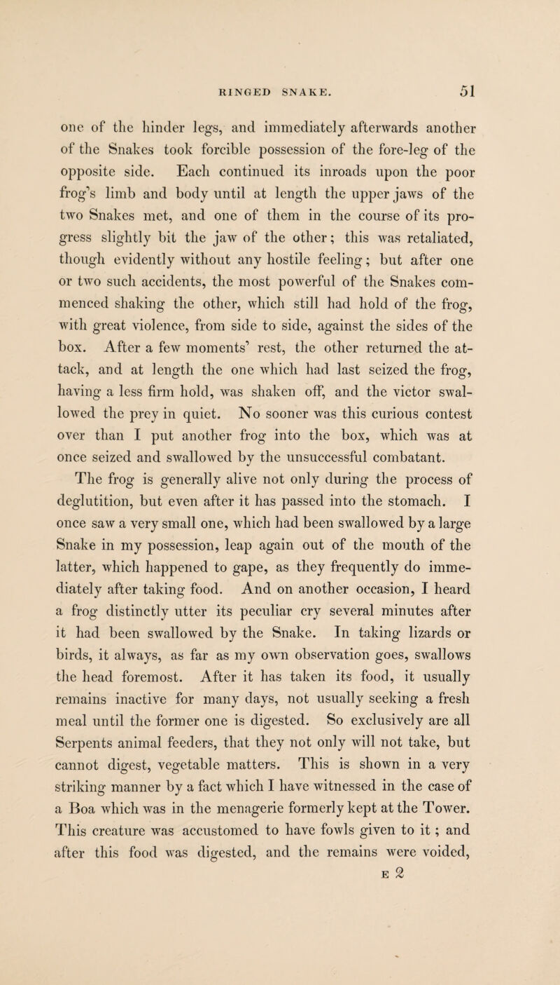 one of the hinder legs, and immediately afterwards another of the Snakes took forcible possession of the fore-leg of the opposite side. Each continued its inroads upon the poor frog's limb and body until at length the upper jaws of the two Snakes met, and one of them in the course of its pro¬ gress slightly bit the jaw of the other; this was retaliated, though evidently without any hostile feeling; but after one or two such accidents, the most powerful of the Snakes com¬ menced shaking the other, which still had hold of the frog, with great violence, from side to side, against the sides of the box. After a few moments' rest, the other returned the at¬ tack, and at length the one which had last seized the frog, having a less firm hold, was shaken off, and the victor swal¬ lowed the prey in quiet. No sooner was this curious contest over than I put another frog into the box, which was at once seized and swallowed by the unsuccessful combatant. The frog is generally alive not only during the process of deglutition, but even after it has passed into the stomach. I once saw a very small one, which had been swallowed by a large Snake in my possession, leap again out of the mouth of the latter, which happened to gape, as they frequently do imme¬ diately after taking food. And on another occasion, I heard a frog distinctly utter its peculiar cry several minutes after it had been swallowed by the Snake. In taking lizards or birds, it always, as far as my own observation goes, swallows the head foremost. After it has taken its food, it usually remains inactive for many days, not usually seeking a fresh meal until the former one is digested. So exclusively are all Serpents animal feeders, that they not only will not take, but cannot digest, vegetable matters. This is shown in a very striking manner by a fact which I have witnessed in the case of a Boa which was in the menagerie formerly kept at the Tower. This creature was accustomed to have fowls given to it; and after this food was digested, and the remains were voided, e 2