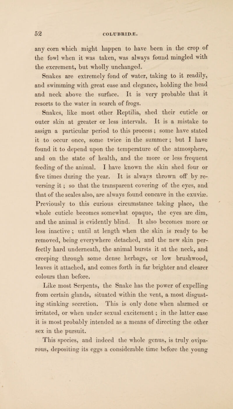 any corn which might happen to have been in the crop of the fowl when it was taken, was always found mingled with the excrement, but wholly unchanged. Snakes are extremely fond of water, taking to it readily, and swimming with great ease and elegance, holding the head and neck above the surface. It is very probable that it resorts to the water in search of frogs. Snakes, like most other Reptilia, shed their cuticle or outer skin at greater or less intervals. It is a mistake to assign a particular period to this process; some have stated it to occur once, some twice in the summer; but I have found it to depend upon the temperature of the atmosphere, and on the state of health, and the more or less frequent feeding of the animal. I have known the skin shed four or five times during the year. It is always thrown off by re¬ versing it; so that the transparent covering of the eyes, and that of the scales also, are always found concave in the exuviae. Previously to this curious circumstance taking place, the whole cuticle becomes somewhat opaque, the eyes are dim, and the animal is evidently blind. It also becomes more or less inactive ; until at length when the skin is ready to be removed, being everywhere detached, and the new skin per¬ fectly hard underneath, the animal bursts it at the neck, and creeping through some dense herbage, or lowr brushwood, leaves it attached, and comes forth in far brighter and clearer colours than before. Like most Serpents, the Snake has the power of expelling from certain glands, situated within the vent, a most disgust¬ ing stinking secretion. This is only done when alarmed or irritated, or when under sexual excitement; in the latter case it is most probably intended as a means of directing the other sex in the pursuit. This species, and indeed the wfiiole genus, is truly ovipa¬ rous, depositing its eggs a considerable time before the voung