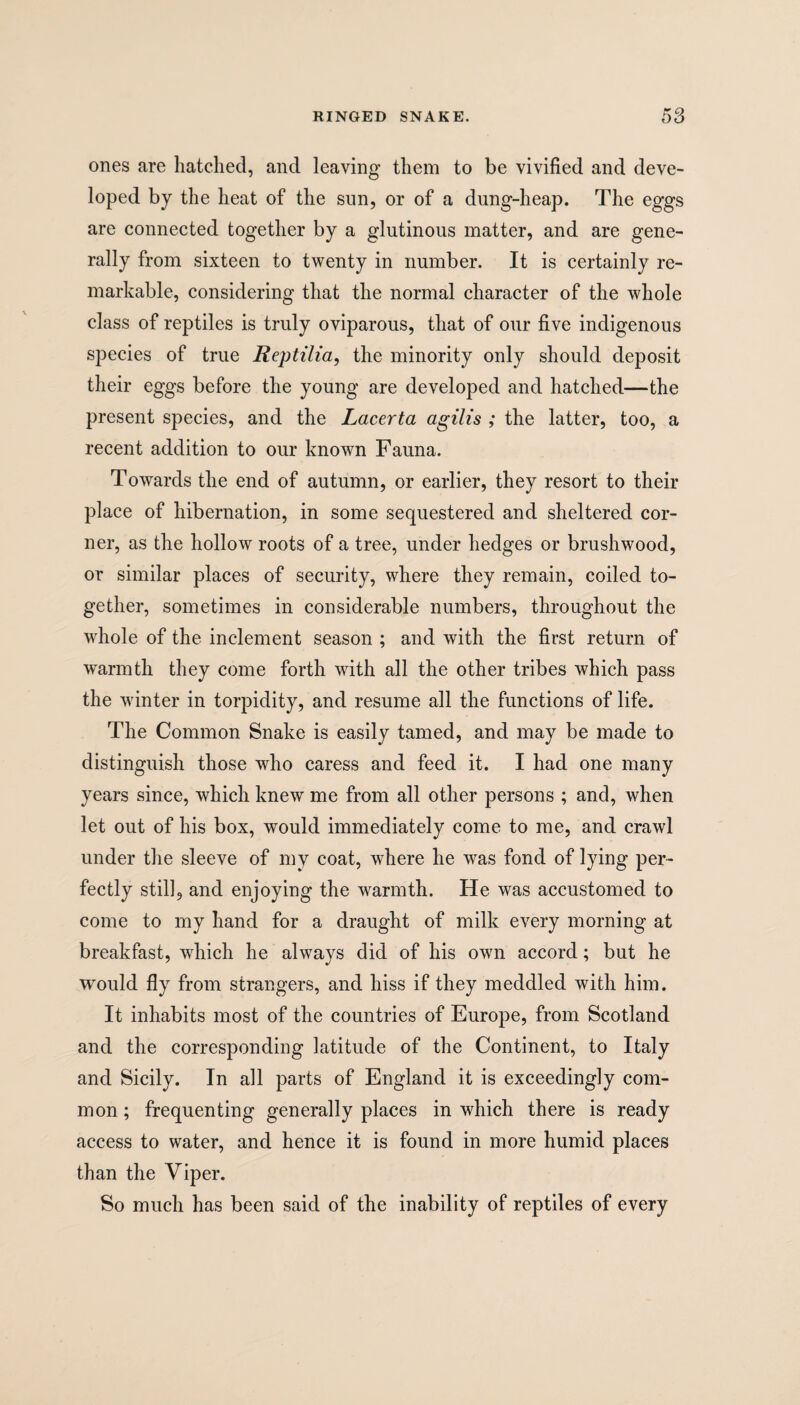 ones are hatched, and leaving them to be vivified and deve¬ loped by the heat of the sun, or of a dung-heap. The eggs are connected together by a glutinous matter, and are gene¬ rally from sixteen to twenty in number. It is certainly re¬ markable, considering that the normal character of the whole class of reptiles is truly oviparous, that of our five indigenous species of true Reptilia, the minority only should deposit their eggs before the young are developed and hatched—the present species, and the Lacerta agilis ; the latter, too, a recent addition to our known Fauna. Towards the end of autumn, or earlier, they resort to their place of hibernation, in some sequestered and sheltered cor¬ ner, as the hollow roots of a tree, under hedges or brushwood, or similar places of security, where they remain, coiled to¬ gether, sometimes in considerable numbers, throughout the whole of the inclement season ; and with the first return of warmth they come forth wfith all the other tribes which pass the winter in torpidity, and resume all the functions of life. The Common Snake is easily tamed, and may be made to distinguish those who caress and feed it. I had one many years since, which knew me from all other persons ; and, when let out of his box, would immediately come to me, and crawl under the sleeve of my coat, where he was fond of lying per¬ fectly still, and enjoying the warmth. He was accustomed to come to my hand for a draught of milk every morning at breakfast, which he always did of his own accord; but he would fly from strangers, and hiss if they meddled with him. It inhabits most of the countries of Europe, from Scotland and the corresponding latitude of the Continent, to Italy and Sicily. In all parts of England it is exceedingly com¬ mon ; frequenting generally places in which there is ready access to water, and hence it is found in more humid places than the Viper. So much has been said of the inability of reptiles of every