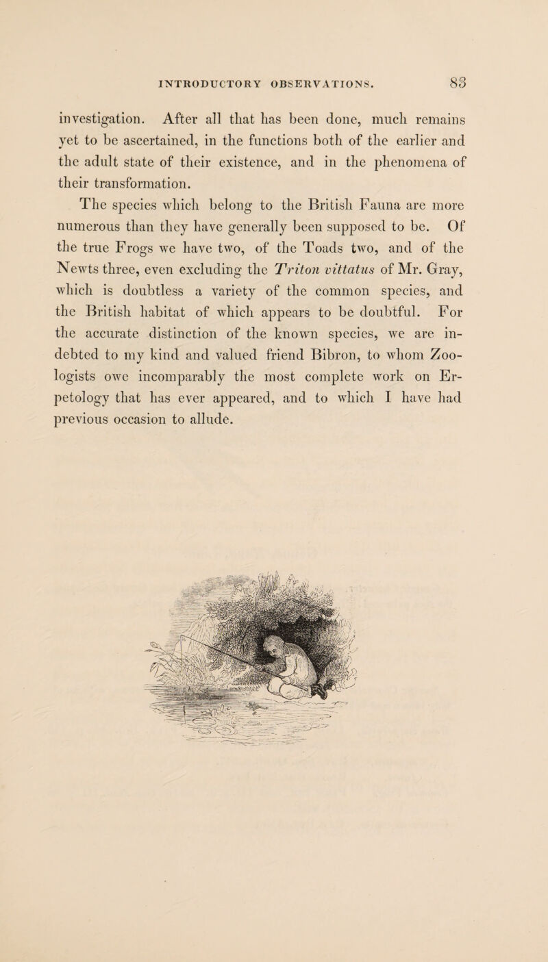 investigation. After all that lias been done, much remains yet to be ascertained, in the functions both of the earlier and the adult state of their existence, and in the phenomena of their transformation. The species which belong to the British Fauna are more numerous than they have generally been supposed to be. Of the true Frogs we have two, of the Toads two, and of the Newts three, even excluding the Triton vittatus of Mr. Gray, which is doubtless a variety of the common species, and the British habitat of which appears to be doubtful. For the accurate distinction of the known species, we are in¬ debted to my kind and valued friend Bibron, to whom Zoo¬ logists owe incomparably the most complete work on Er- petology that has ever appeared, and to which I have had previous occasion to allude.