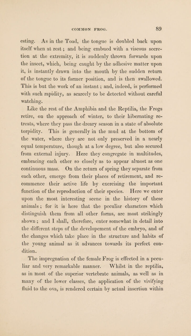 esting. As in the Toad, the tongue is doubled back upon itself when at rest; and being embued with a viscous secre¬ tion at the extremity, it is suddenly thrown forwards upon the insect, which, being caught by the adhesive matter upon it, is instantly drawn into the mouth by the sudden return of the tongue to its former position, and is then swallowed. This is but the work of an instant; and, indeed, is performed with such rapidity, as scarcely to be detected without careful watching. O Like the rest of the Amphibia and the Reptilia, the Frogs retire, on the approach of winter, to their hibernating re¬ treats, where they pass the dreary season in a state of absolute torpidity. This is generally in the mud at the bottom of the water, where they are not only preserved in a nearly equal temperature, though at a low degree, but also secured from external injury. Here they congregate in multitudes, embracing each other so closely as to appear almost as one continuous mass. On the return of spring they separate from each other, emerge from their places of retirement, and re¬ commence their active life by exercising the important function of the reproduction of their species. Here we enter upon the most interesting scene in the history of these animals ; for it is here that the peculiar characters which distinguish them from all other forms, are most strikingly shown ; and I shall, therefore, enter somewhat in detail into the different steps of the developement of the embryo, and of the changes which take place in the structure and habits of the young animal as it advances towards its perfect con¬ dition. The impregnation of the female Frog is effected in a pecu¬ liar and very remarkable manner. Whilst in the reptilia, as in most of the superior vertebrate animals, as well as in many of the lower classes, the application of the vivifying fluid to the ova, is rendered certain by actual insertion within