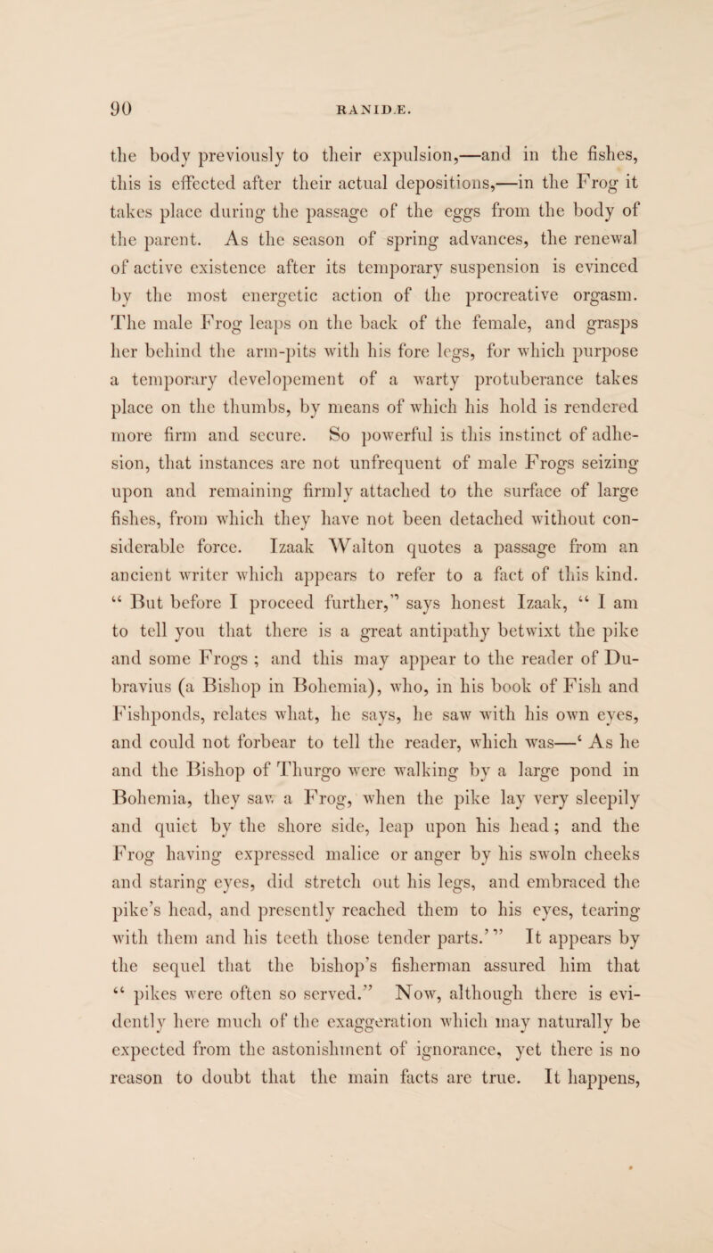 the body previously to their expulsion,—and in the fishes, this is effected after their actual depositions,—in the Frog it takes place during the passage of the eggs from the body of the parent. As the season of spring advances, the renewal of active existence after its temporary suspension is evinced by the most energetic action of the procreative orgasm. The male Frog leaps on the back of the female, and grasps her behind the arm-pits with his fore legs, for which purpose a temporary developement of a warty protuberance takes place on the thumbs, by means of which his hold is rendered more firm and secure. So powerful is this instinct of adhe¬ sion, that instances are not unfrequent of male Frogs seizing upon and remaining firmly attached to the surface of large fishes, from which they have not been detached without con¬ siderable force. Izaak Walton quotes a passage from an ancient writer which appears to refer to a fact of this kind. u But before I proceed further,” says honest Izaak, “ I am to tell you that there is a great antipathy betwixt the pike and some Frogs ; and this may appear to the reader of Du- bravius (a Bishop in Bohemia), who, in his book of Fish and Fishponds, relates what, he says, he saw with his own eyes, and could not forbear to tell the reader, which was—4 As he and the Bishop of Thurgo were walking by a large pond in Bohemia, they sav, a Frog, when the pike lay very sleepily and quiet by the shore side, leap upon his head; and the Frog having expressed malice or anger by his swoln cheeks and staring eyes, did stretch out his legs, and embraced the pike’s head, and presently reached them to his eyes, tearing with them and his teeth those tender parts.’” It appears by the sequel that the bishop’s fisherman assured him that tc pikes were often so served.” Now, although there is evi¬ dently here much of the exaggeration which may naturally be expected from the astonishment of ignorance, yet there is no reason to doubt that the main facts are true. It happens,