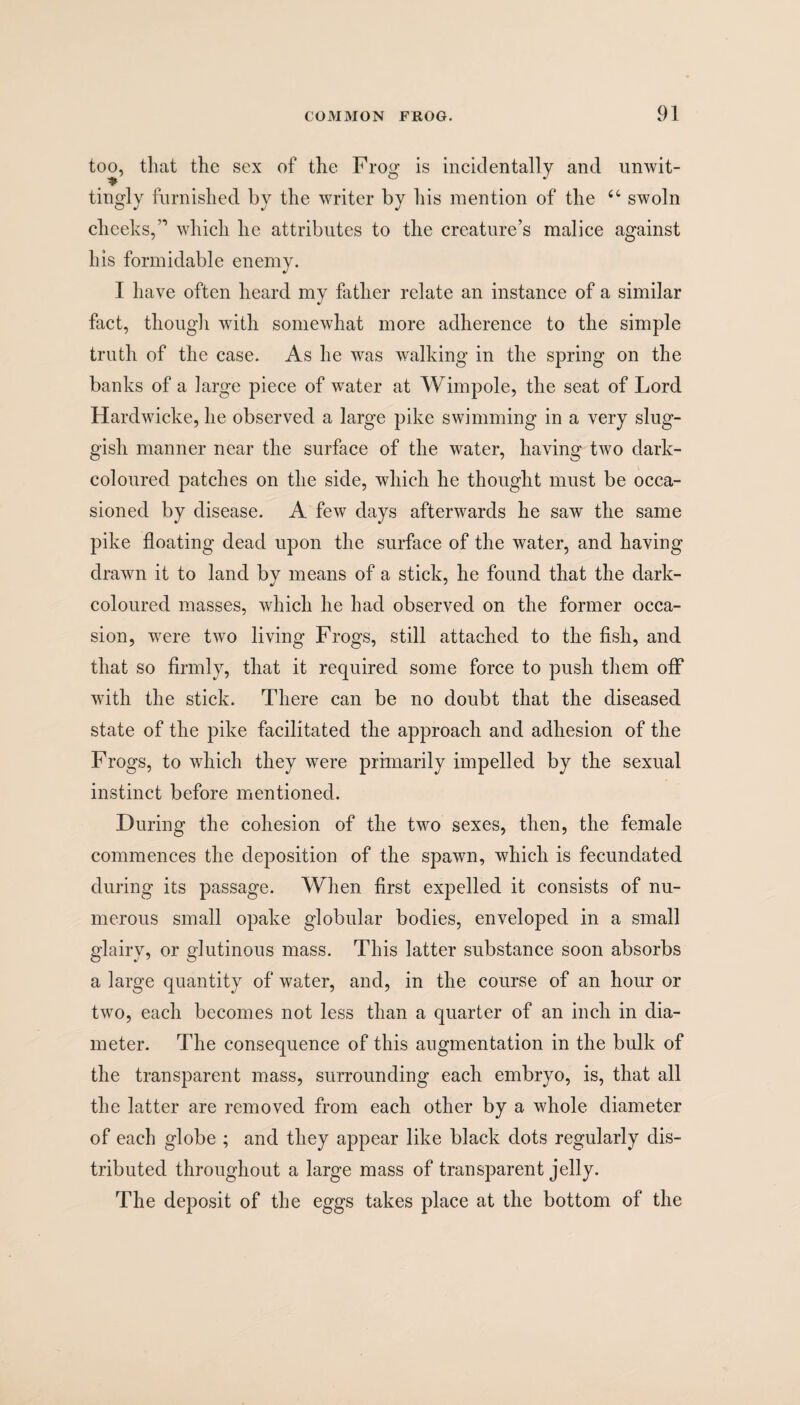 too, that the sex of the Frog is incidentally and unwit- tingly furnished by the writer by his mention of the “ swoln cheeks,” which he attributes to the creature’s malice against his formidable enemy. I have often heard my father relate an instance of a similar fact, though with somewhat more adherence to the simple truth of the case. As he was walking in the spring on the banks of a large piece of water at Wimpole, the seat of Lord Hardwicke, he observed a large pike swimming in a very slug¬ gish manner near the surface of the water, having two dark- coloured patches on the side, which he thought must be occa¬ sioned by disease. A few days afterwards he saw the same pike floating dead upon the surface of the water, and having drawn it to land by means of a stick, he found that the dark- coloured masses, which he had observed on the former occa¬ sion, were two living Frogs, still attached to the fish, and that so firmly, that it required some force to push them off with the stick. There can be no doubt that the diseased state of the pike facilitated the approach and adhesion of the Frogs, to which they were primarily impelled by the sexual instinct before mentioned. During the cohesion of the two sexes, then, the female commences the deposition of the spawn, which is fecundated during its passage. When first expelled it consists of nu¬ merous small opake globular bodies, enveloped in a small glairy, or glutinous mass. This latter substance soon absorbs a large quantity of water, and, in the course of an hour or two, each becomes not less than a quarter of an inch in dia¬ meter. The consequence of this augmentation in the bulk of the transparent mass, surrounding each embryo, is, that all the latter are removed from each other by a whole diameter of each globe ; and they appear like black dots regularly dis¬ tributed throughout a large mass of transparent jelly. The deposit of the eggs takes place at the bottom of the