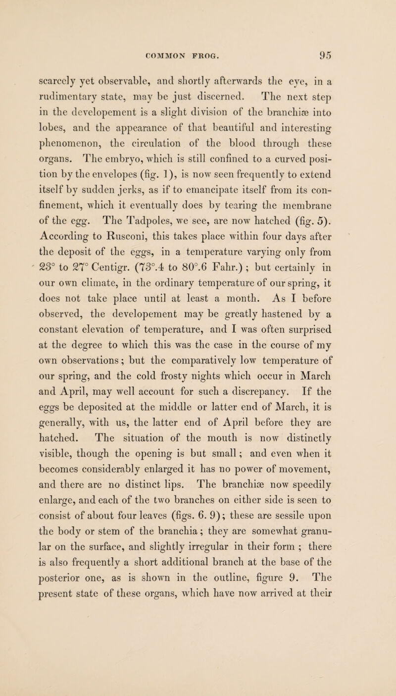 scarcely yet observable, and shortly afterwards the eye, in a rudimentary state, may be just discerned. The next step in the developement is a slight division of the branchiae into lobes, and the appearance of that beautiful and interesting phenomenon, the circulation of the blood through these organs. The embryo, which is still confined to a curved posi¬ tion by the envelopes (fig. 1), is now seen frequently to extend itself by sudden jerks, as if to emancipate itself from its con¬ finement, which it eventually does by tearing the membrane of the egg. The Tadpoles, we see, are now hatched (fig. 5). According to Rusconi, this takes place within four days after the deposit of the eggs, in a temperature varying only from 28° to 27° Centigr. (78°.4 to 80°.6 Falir.) ; but certainly in our own climate, in the ordinary temperature of our spring, it does not take place until at least a month. As I before observed, the developement may be greatly hastened by a constant elevation of temperature, and I was often surprised at the degree to which this was the case in the course of my own observations; but the comparatively low temperature of our spring, and the cold frosty nights which occur in March and April, may well account for such a discrepancy. If the eggs be deposited at the middle or latter end of March, it is generally, with us, the latter end of April before they are hatched. The situation of the mouth is now distinctly visible, though the opening is but small; and even when it becomes considerably enlarged it has no power of movement, and there are no distinct lips. The branchiae now speedily enlarge, and each of the two branches on either side is seen to consist of about four leaves (figs. 6. 9); these are sessile upon the body or stem of the branchia; they are somewhat granu¬ lar on the surface, and slightly irregular in their form ; there is also frequently a short additional branch at the base of the posterior one, as is shown in the outline, figure 9. The present state of these organs, which have now arrived at their
