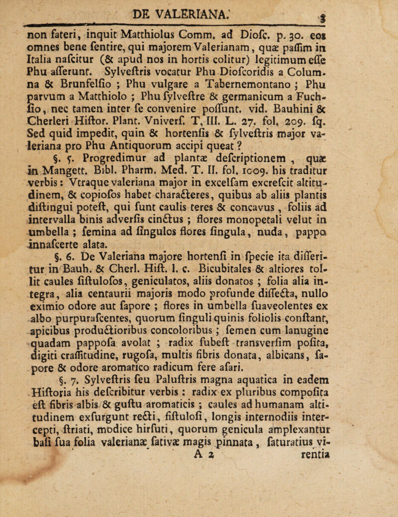 $ non fateri, inquit Matthiolus Comm* ad Diofc. p. 30. eos omnes bene fentire, qui majorem Valerianam, quse paflim in Italia nafcitur (& apud nos in hortis colitur) legitimum effe Phu afferunt. Sylveftris vocatur Phu Diofcoridis a Colum¬ na & Brunfelfio ; Phu vulgare a Tabernemontano ; Phu parvum a Matthiolo ; Phu fylveftre & germanicum a Fuch- fio, nec tamen inter fe convenire poffunt. vid. Bauhini & Cherleri Hiftor. Piant. Vniverf. T, III. L. 27. folt 209. fq. Sed quid impedit, quin & hortenlis 6c fylveftris major Va¬ leriana pro Phu Antiquorum accipi queat ? §. ?. Progredimur ad plantae defcriptionem , quae in Mangett. Bibi. Pharm. Med. T. II. fol. 1009. his traditur verbis; Vtraque valeriana major in excelfam excrefcit altitu¬ dinem, & copiofos habet charaCteres, quibus ab aliis plantis diftingui poteft, qui funt caulis teres & concavus, foliis ad intervalla binis adverfis cinCtus ; flores monopetali velut in umbella; femina ad fingulcs flores lingula, nuda, pappa innafcerte alata. §. 6. De Valeriana majore hortenfi in fpecie ita differi- tur in Bauh. & Cherl. Hift. 1. c. Bicubitales & aitiores tol- lit caules fiftulofos, geniculatos, aliis donatos ; folia alia in¬ tegra, alia centaurii majoris modo profunde diffeCta, nullo eximio odore aut fapore ; flores in umbella fuaveolentes ex albo purpurafcentes, quorum finguli quinis foliolis confiant, apicibus productioribus concoloribus; femen cum lanugine quadam pappofa avolat ; radix fubeft transverfim polita, digiti craflitudine, rugofa, multis fibris donata, albicans, fa¬ pore & odore aromatico radicum fere afari. §. 7. Sylveftris feu Paluftris magna aquatica in eadem Hiftofia his defcribitur verbis: radix ex pluribus compolita eft fibris albis & guftu aromaticis ; caules ad humanam alti¬ tudinem exfurgunt redi, fiftulofi, longis internodiis inter¬ cepti, firiati, modice hirfuti, quorum genicula Amplexantur baiifua folia valerianae fativae magis pinnata, faturatius vi- A % rentia