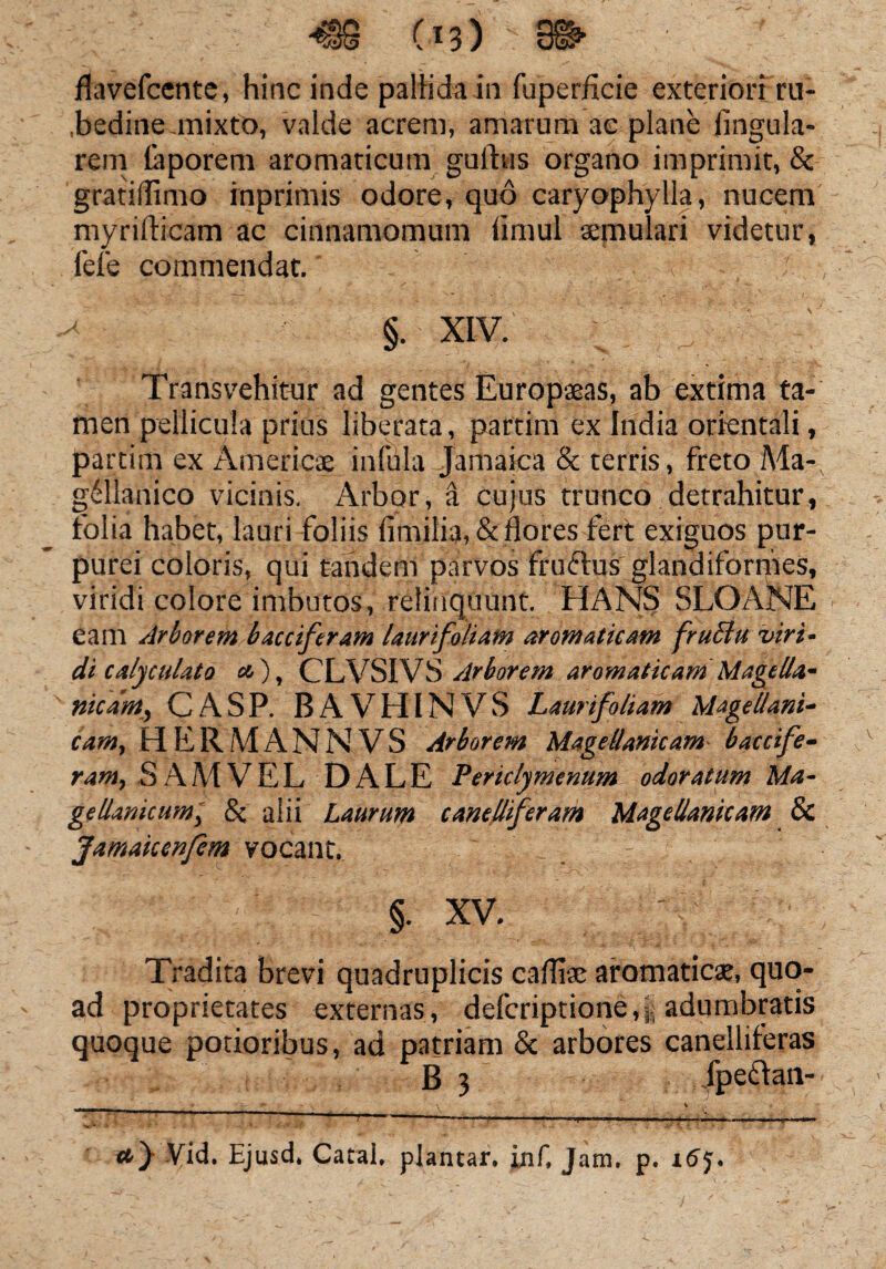 flavefcente, hinc inde pallida in fuperficie exteriori ru- .bedine mixto, valde acrem, amarum ac plane lingula¬ rem laporem aromaticum gullus organo imprimit, & gratillimo rnprimis odore, quo caryophylla, nucem myrillicam ac cinnamomum limul aemulari videtur, fele commendat. '' §. XIV. Transvehitur ad gentes Europaeas, ab extima ta¬ men pellicula prius liberata, partim ex India orientali, partim ex America infula jamaica & terris, freto Ma- gdllanico vicinis. Arbor, a cujus trunco detrahitur, folia habet, lauri foliis fimilia, & flores fert exiguos pur¬ purei coloris, qui tandem parvos fruftus glandiformes, viridi colore imbutos, relinquunt. HANS SLOANE eam Arborem bacciferam laurifoliam aromaticam fruElu viri - di calyculato «4), CLVSIVS Arborem aromaticam MageUa- nicdm, CASP. BAVHINVS Laurifoliam Mage Mani¬ cam, HERMANNVS Arborem Magellanicam baccife¬ ram, SAMVEL DALE Periclymenum odoratum Ma- gellanicum, & alii Laurum canelliferam Magellanicam 8c Jamaiccnfem vocant. . ~ 7 \ §. XV. Tradita brevi quadruplicis callide aromaticae, quo¬ ad proprietates externas, defcriptione,| adumbratis quoque potioribus, ad patriam & arbores canelliferas B 3 Jpeftan- «0 Vid. Ejusd, Catal. plantar. inf, Jam. p. i5j.