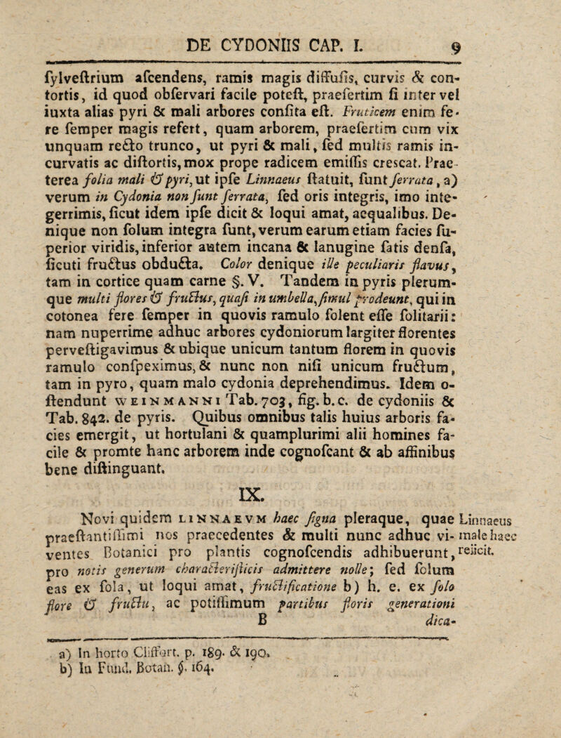 fylveftrium afcendens, ramis magis difFui!s% curvis & con¬ tortis, id quod obfervari facile potcft, praefertim fi mtervel iuxta alias pyri & mali arbores confita efi. Fruticem enim fe¬ re femper magis refert, quam arborem, praefertim cum vix unquam re£to trunco, ut pyri & mali, fed multis ramis in¬ curvatis ac diftortis,mox prope radicem emiffis crescat. Prae¬ terea folia mali & pyri,ut ipfe Linnaeus ftatuit, funt ferrata, a) verum in Cydonia non funt ferrata, fed oris integris, imo inte¬ gerrimis, ficut idem ipfe dicit & loqui amat, aequalibus. De¬ nique non folum integra funt, verum earum etiam facies fu- perior viridis, inferior autem incana 8c lanugine fatis denfa, ficuti fru£lus obdufta. Color denique ille peculiaris flavus, tam in cortice quam carne §. V. Tandem ia pyris plerum¬ que multi flores & fruElus, quafl in umbella, flmul prodeunt, qui in cotonea fere femper in quovis ramulo folent effe folitarii: nam nuperrime adhuc arbores cydoniorum largiter florentes perveftigavimus & ubique unicum tantum florem in quovis ramulo confpeximus, & nunc non nifi unicum fruftum, tam in pyro, quam malo cydonia deprehendimus. Idem o- flendunt weinm anni Tab.703, fig.b.c. de cydoniis & Tab. 842. de pyris. Quibus omnibus talis huius arboris fa¬ cies emergit, ut hortulani & quamplurimi alii homines fa¬ cile & promte hanc arborem inde cognofcant & ab affinibus bene diftinguant. IX. Novi quidem linnaevm haec flgna pleraque, quae Linnaeus praeftantiiTimi nos praecedentes & multi nunc adhuc vi-, male haec ventes Botanici pro plantis cognofcendis adhibuerunt,elicit, pro notis generum charatleriflicis admittere nolle; fed folum eas ex fola, ut loqui amat, fructificatione b) h. e. ex folo flore & fruBu, ac potiffimum panibus floris generationi B dica* a) In horto Ciiffort. p. 189- & 190. b) Ia Fumi. Botati. f 164,