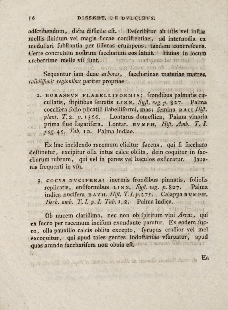 adfcribendum, diftu difficile eft. Defcribitur ab illis vei inftar mellis fluidum vel magis ficcae confidentiae, ad internodia ex medullari fubftantia per filTuras erumpens, tandem concrefcens. Certe concretum noftrum faccharum eos latuit. Huius in locum creberrime meile vfi funt. . ‘ . u r\ * r Y H , • /**».** r, ‘ •' fi V i, n ( , #\ r\ . r •. .* • ‘ , •• » i «.'ii- 4 ' v 1 • H >• Sequantur iam duae arbores, faccharinae materiae matrem, calidijfimis regionibus pariter propriae: • * ■* • # k . • 2. borassvs flabelliformis; frondibus palmatis cu~ cullatis, ftipitibus ferratis linn, Syjt.veg.p. 827. Palma coccifera folio plicatili flabelliformi, mas; femina raii Hijt. /?/<zrc£. T.2. p.1366. Lontarus domeftica, Palma vinaria prima flue Iagarifera, Lontar. rvmph. Hijl. Amb. T. L pag. 4 S ‘ Tab. 10. Palma Indiae. Ex hac incidendo racemum elicitur fuccus, qui fi faccharo deflinetur, excipitur olla intus calce oblita, dein coquitur in fac¬ charum rubrum, qui vel in panes vel baculos exficcatur. Iaua- nis frequenti in vfu. 3. cocvs nvcifera; inermis frondibus pinnatis, foliolis replicatis, enfiformibus linn. Syft. veg. p. 827. Palma indica nucifera bavh. Hijl. T.I.p.^ps- Calappa rvmph. Herb. amb. T. I. p. I. Tab. 1.2. Palma Indica. , . —* 1 • _ r . ' * <1 % • r# r • : i. k % Ob nucem clariffima, nec non ob fpiritum vini Arrae, qui ex fucco per racemum incifum exundante paratur. Ex eodem fuc- co, olla pauxillo calcis oblita excepto, fyrupus craflior vel mei excoquitur, qui apud tales gentes Indoftaniae vfurpatur, apud quas arundo faceharifera non obuia eft. 4 » * Ea