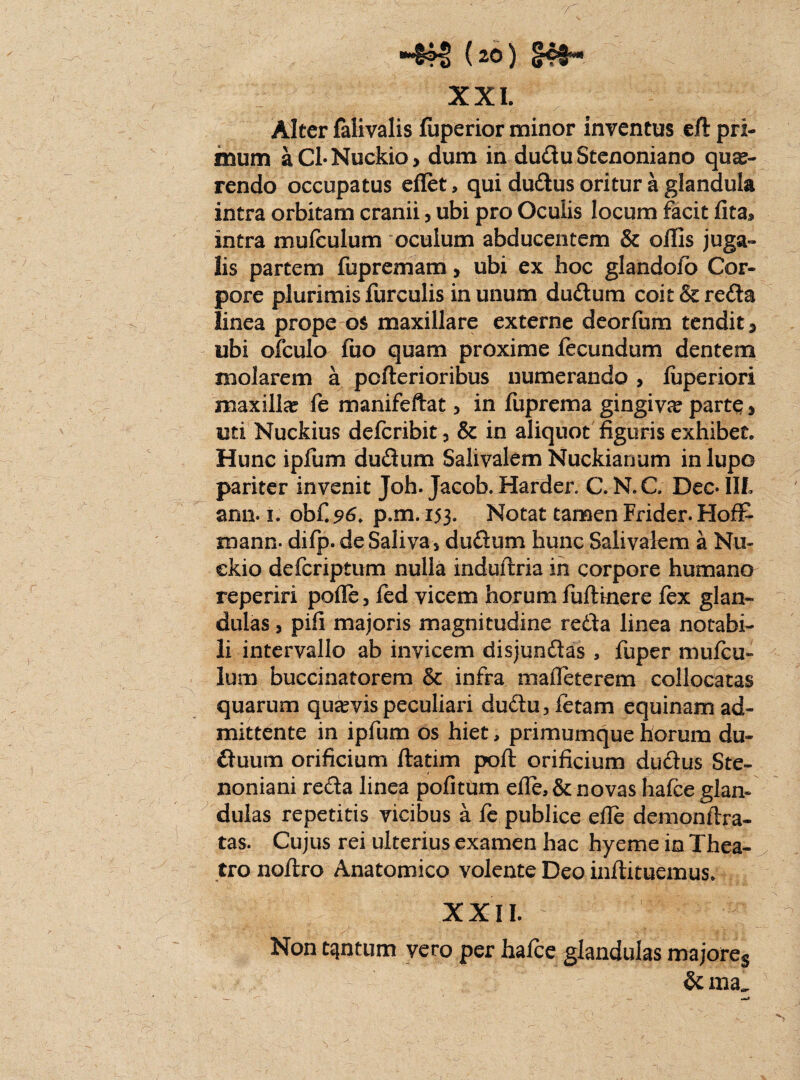 ■4M> (ao) XXI. 7 * . ' •> .... / . - - -■ ,v, • • r.' '■ ^ 4 ’ -• r ?r’ f ■ ’ J/ t Alter falivalis fuperior minor inventus eft pri¬ mum aCl-Nuckio, dum in duduStenoniano que¬ rendo occupatus eflet» qui dudus oritur a glandula intra orbitam cranii, ubi pro Oculis locum facit fita* intra mufculum oculum abducentem & ollis juga¬ lis partem fupremam > ubi ex hoc glandoio Cor¬ pore plurimis furculis in unum dudum coit & reda linea prope os maxillare externe deorfum tendit 3 ubi ofculo fuo quam proxime fecundum dentem molarem a pofterioribus numerando > fiiperiori maxilla? fe manifeftat, in fuprema gingive parte 3 uti Nuckius defcribit, & in aliquot figuris exhibet. Hunc ipfum dudum Salivalem Nuckianum in lupo pariter invenit Joh. Jacob. Harder. C. N.C. Dec- III. ann. 1. obf.?6. p.m. 153. Notat tamen Frider. HofE mann- difp. de Saliva, dudum hunc Salivalem a Nu- ekio defcriptum nulla mdufixia in corpore humano reperiri polle, fed vicem horum fuflinere lex glan¬ dulas , pili majoris magnitudine reda linea notabi¬ li intervallo ab invicem disjundas , fuper mufcu¬ lum buccinatorem & infra mafleterem collocatas quarum quarvis peculiari dudu,letam equinam ad¬ mittente in ipfum os hiet, primumque horum du- duum orificium ftatim poli orificium dudus Ste- noniani reda linea politum ede, & novas halce glan- dulas repetitis vicibus a le publice elle demonftra- tas. Cujus rei ulterius examen hac hyeme in Thea¬ tro noltro Anatomico volente Deo inllituemus. XXII. Non tqntum vero per hafce glandulas majores