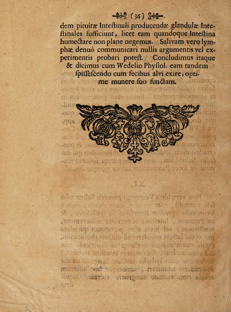 dem pituita Inteftinali producenda' glandula Inte- ftinales fufficiunt, licet eam quandoque Inteftina humedare non plane negemus. Salivam vero lym¬ pha- denuo communicari nullis argumentis vel ex¬ perimentis probari poteft. Concludimus itaque & dicimus cum WedelioPhyfiol. eam tandem fpiflefcendo cum fecibus alvi exire * opti¬ me munere fiio fundam. i