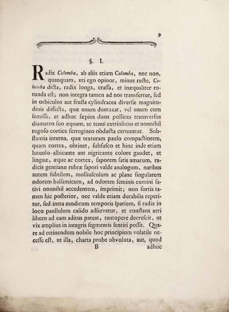 §. I. adix Colomba, ab aliis etiam Catomba, nec non, quanquam, uti ego opinor, minus redte, Co¬ lumba dida, radix longa, cralTa, et inaequaliter ro¬ tunda ert; non integra tamen ad nos transfertur, fed in orbiculos aut fruiia cylindracea diverfae magnitu¬ dinis diifeda, quae unum duncaxat, vel unum cum femifle, et adhuc faepius duos pollices transverfos diametro fuo aequant, ac tenui extrinfecus et nonnihil rugofo cortice ferrugineo obduda cernuntur. Sub- ftantia interna, quae texturam paulo compadiorem, quam cortex, obtinet, fubfufco et hinc inde etiam luteolo-albicante aut nigricante colore gaudet, et linguae, aeque ac cortex, faporem fatis amarum, ra¬ dicis gentianae rubrae fapori valde analogum, naribus autem fubtilem, molliufculum ac plane fingularera odorem balfamicum, ad odorem feminis cumini fa- tivi nonnihil accedentem, imprimit; non fortis ta¬ men hic pofterior, nec valde etiam durabilis repeti¬ tur, feddntra modicum temporis fpatium, fi radix in loco paullulum calido adfervctur, et confians aeri libero ad eam aditus pateat, tantopere decrefcit, ut vix amplius in integris fegmentis fentiri poflit. Q^a- rc ad retinendum nobile hoc pfincipium volatile ne- cefleeft, utilia, charta probe obvoluta, aut, quod B adhuc