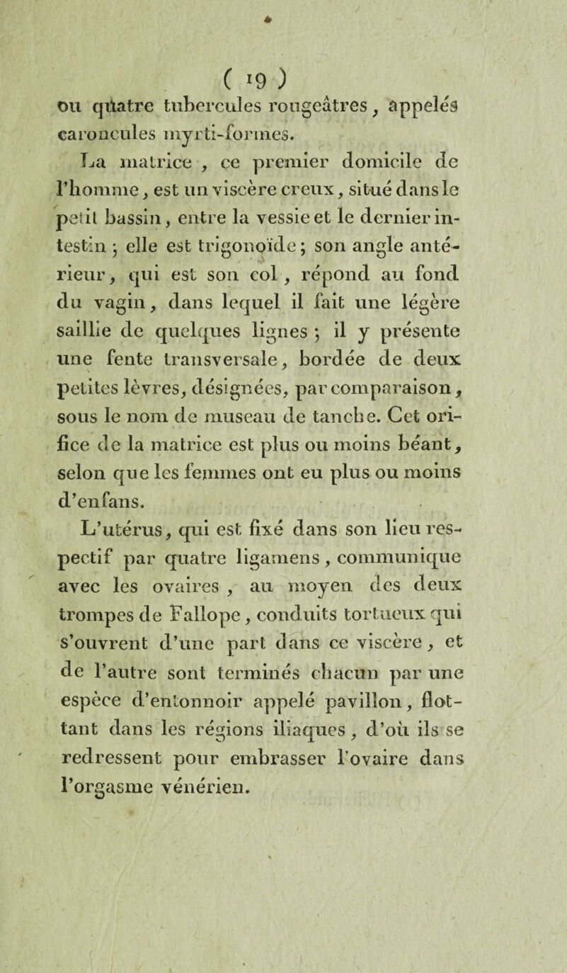 y C *9 ) ou quatre tubercules rougeâtres, appelés caroncules myrti-forines. La matrice , ce premier domicile de l’homme, est un viscère creux, situe dans le pet il bassin, entre la vessie et le dernier in¬ testin j elle est trigonpïde ; son angle anté¬ rieur , qui est son col , répond au fond du vagin, dans lequel il fait une légère saillie de quelques lignes ) il y présente une fente transversale, bordée de deux petites lèvres, désignées, par comparaison, sous le nom de museau de tanche. Cet ori¬ fice de la matrice est plus ou moins béant, selon que les femmes ont eu plus ou moins d’en fans. L’utérus, qui est fixé dans son lieu res¬ pectif par quatre ligamens , communique avec les ovaires , au moyen des deux trompes de Failope, conduits tortueux, qui s’ouvrent d’une part dans ce viscère, et de l’autre sont terminés chacun par une espèce d’entonnoir appelé pavillon, flot¬ tant dans les régions iliaques, d’où ils se redressent pour embrasser l’ovaire dans l’orgasme vénérien.