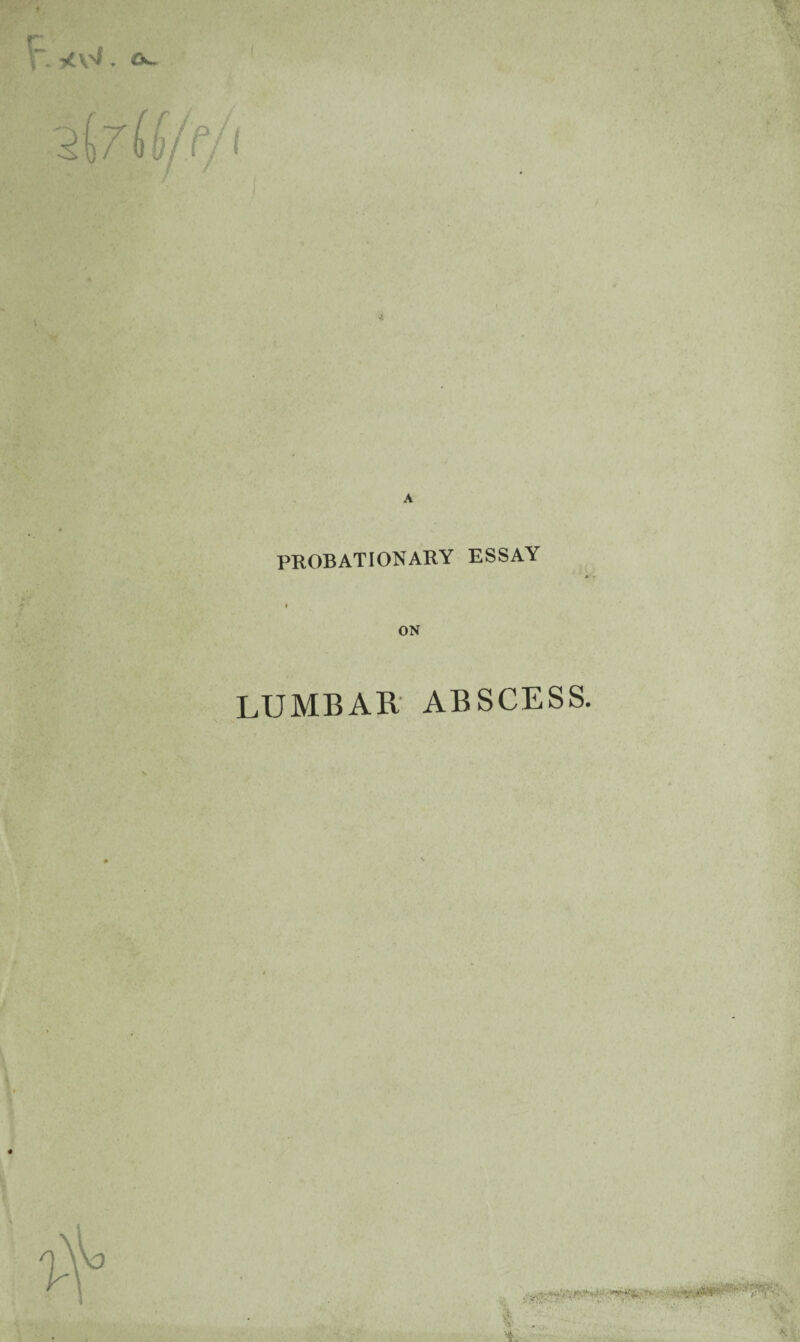 A PROBATIONARY ESSAY ON LUMBAR ABSCESS.