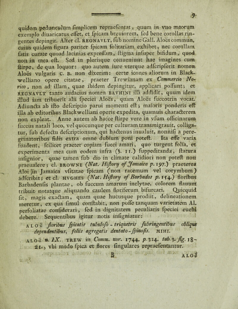 quidem pedunculum fimplicem repraefentat, quum in vno meorum exemplo diuaricatus edet, et fpicam breuiorem, fed bene corollas ri.n- gentes depingit. Alter cl. regnavlt, fub nomine Gall. Aloes commun, cuius quidem figura pariter fpicam folitariam exhibet, nec corollam fatis curate quoad lacinias expreflam, ftigma infuper bifidum, quod non in mea eft. Sed in plerisque conueniunt hae imagines cum ftirpe, de qua loquor: quo autem iure vterque adfcripferit nomen Aloes vulgaris c. B. non dixerim: certe icones aliorum in Black- welliano opere citatae, praeter Trewianam ex Commercio No¬ rico, non ad' illam, quae ibidem depingitur, applicari podimt; et regnavlt tanto audacius nomen bavhini illi addidit, quum idem illud iam tribuerit alii fpeciei Aloes, quam Aloes fuccotrin vocat. Adiunda ab ifto defcriptio parui momenti eft; maioris ponderis eft illa ab editoribus Blackwelliani operis expedita, quamuis charaderem non expleat. Anne autem ab hacce ftirpe vere in vfum officinarum fuccus natali loco, vel quocunque per culturam transmigrauit, colliga¬ tur, fub defedu defcriptionum, qui hadenus inualuit, nonnifi a pere¬ grinatoribus fidis extra omne dubium poni poteft. Ita ede varia fu a dent, fcilicet praeter copiam fucci amari, quo turgent folia, et experimenta mea cum eodem infra (§. n.) fuppeditanda, ftatura infignior, quae tamen fub dio in climate calidiori non poteft non praeualere; cl. browne (Nat.- Hijlory of Jamaicci p. 197.) praeterea Aloi [in Jamaica vfitatae fpicam (non racemum vel corymbum) adfcribit; et cl. hvghes (Nat. Hijlory of Barbados p.if4.) floribus Barbadenfis plantae, ob fuccum amarum inclytae, colorem flauum tribuit liotatque aliquando caulem floriferum bifurcari, Quicquid fit, magis exadam, quam quae hucusque prodiit, delineationem meretur, ex qua fimul conftabit, non pofle tanquam varietatem AI. perfoliatae confiderari, fed in dignitatem peculiaris fpeciei euehi debere. Sequentibus igitur notis infigniatur: A L O e floribus /picatis tnbuloflo - triquetris fabringentibus oblique dependentibus, foliis agregatis dentato-fpmo/is. MIHT. ALOe n. IX. TREW in Comm. nor, 1744. p $24. tab.^.flg. 18- 2i., vbi modo fpica et flores Angulares repraefentantur. B A l o e