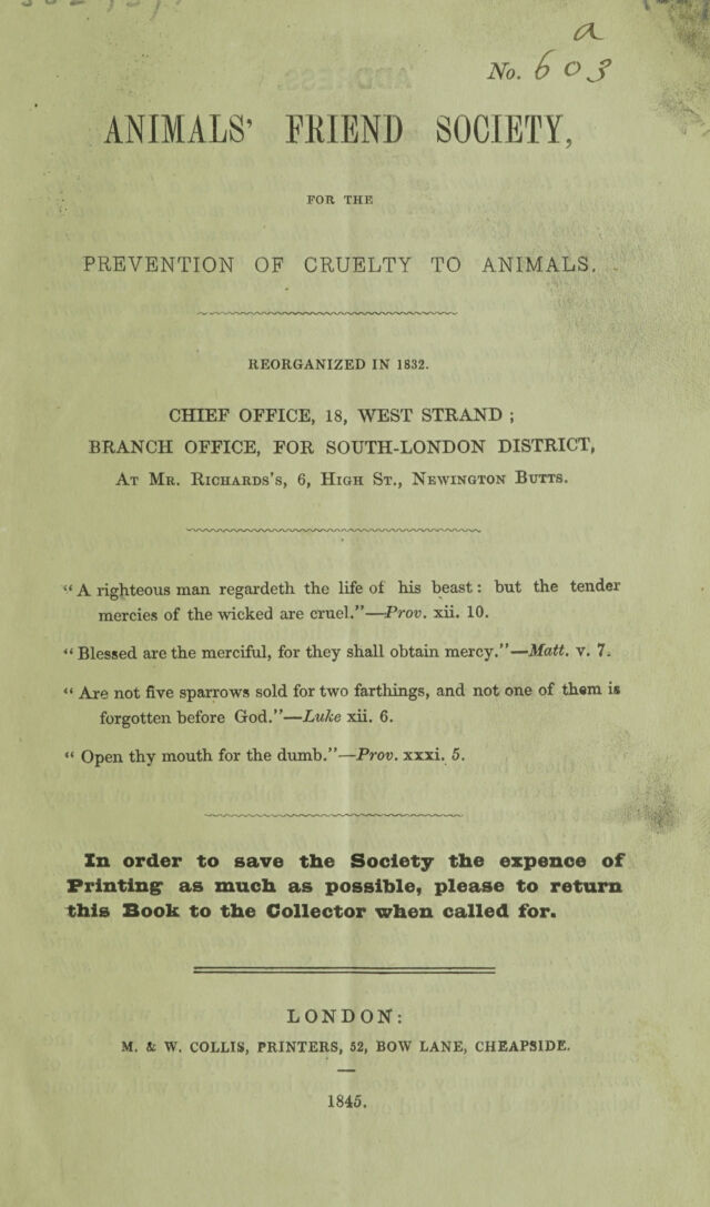 digitised image 3