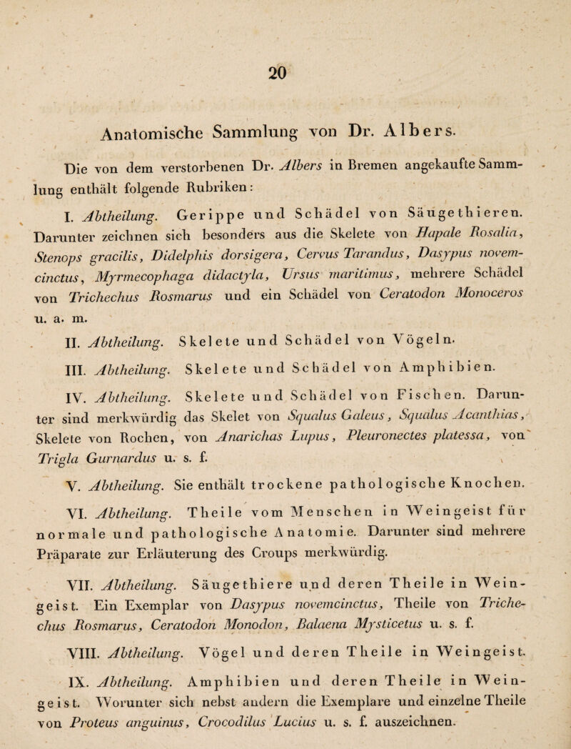 Anatomische Sammlung von Dr. Alb er s. Die von dem verstorbenen Dr. Albers in Bremen angekaufte Samm¬ lung enthält folgende Rubriken: - , , l I. Abtheilung. Gerippe und Schädel von Säuge tb i eren. Darunter zeichnen sich besonders aus die Skelete von Hapale Rosalia, Stenops gracilis, Didelphis dorsigera, Cervus Tarandus, Dasypus novem- cinctus, Myrmecophaga didactyla, ZJrsus maritimus, mehrere Schädel von Trichechus Rosmarus und ein Schädel von Ceratodon Monoceros u. a. m. II. Abtheilung. Skelete und Schädel von Vögeln. III. Abtheilung. Skelete und Schädel von Amphibien. IV. Abtheilung. Skelete und Schädel von Fischen. Darun¬ ter sind merkwürdig das Skelet von Scjucilus Gcileus, Scjucilus Accinthicis 3 Skelete von Rochen, von Anarichas Lupus, Pleuronectes platessci, von Trigla Gurnardus u. s. £ , V. Abtheilung. Sie enthält trockene pa thol ogische Knochen. YI. Abtheilung. Tiieile vom Menschen in Weingeist für normale und pathologische Anatomie. Darunter sind mehrere Präparate zur Erläuterung des Croups merkwürdig. YIT. Abtheilung. Säuge thie re und deren Th eile in Wein¬ geist. Ein Exemplar von Dasypus novemcinctus, Theiie von Triche¬ chus Rosmarus} Ceratodon Monoclon, Balaena Mysticetus u. s. f. VIII. Abtheilung. Vögel und deren Theiie in Weingeist IX. Abtheilung. Amphibien und deren Theiie in Wein¬ geist. Worunter sich nebst andern die Exemplare und einzelne Theiie von Proteus anguinus, Crocodilus Lucius u. s. £ auszeichnen.