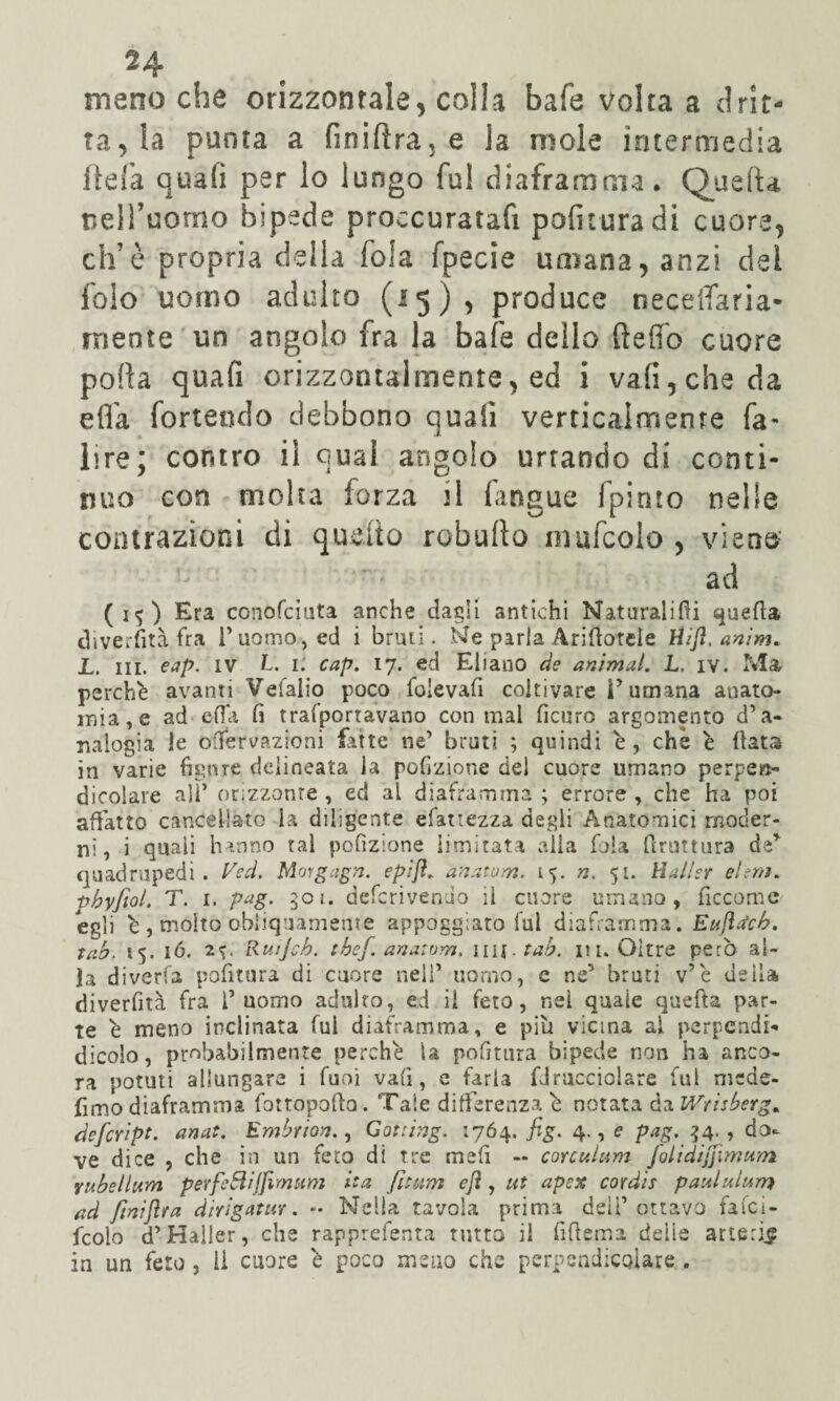 ^4 meno che orizzontale, colla bafe volta a drit¬ ta, la punta a fmiftraje la mole intermedia ftefa quali per lo lungo fui diaframma. Quella nell’uomo bipede proccuratafi politura di cuore, eh’è propria della fola fpecie umana, anzi dei folo uomo adulto (15), produce neceiTaria- rnente un angolo fra la bafe dello fteffo cuore pofta quali orizzontalmente, ed i vali, che da efl'a forteodo debbono quali verticalmente fa- lire; contro il qual angolo turando di conti¬ nuo con molta forza 1 i fangue fpinto nelle contrazioni di quello roburto mufcolo , viene ad (i«j) Era conofeiata anche dagli antichi Naturalifti quella diverfità fra 1’ uomo, ed i bruti. Ne parla Arinotele tìijl. anìm. L. in. eap. IV l. 1: cap. 17. ed Eliano de animai. L. iv. Ma perché avanti Vefalio poco folevafi coltivare l’umana anato¬ mia, e ad efla fi trafportavano con mal ficuro argomento d’a¬ nalogia le ofiervazioni fatte ne’ bruti ; quindi è, che è Hata in varie figure delineata la pofizione del cuore umano perpen¬ dicolare all’ orizzonte, ed al diaframma; errore, che ha poi affatto cancellato la diligente efattezza degli Anatomici moder¬ ni, i quali hanno tal pofizione limitata alla fola firuttura de* quadrupedi. Ved. Morgagn. epijì. anatema. 15. n. 51. Mailer ehm. pbyfiol. T. 1. pag. 301. deferivendo il cuore umano, ficcomc egli è , mólto obliquamente appoggiato fui diaframma. Eufldcb. tab, 15. 16. Rttijch. tbef. anatom. \\\\.tab. ih. Oltre però al¬ ia diverfa pofitura di cuore nell’ uomo, c ne’ bruti v’e della, diverfità fra l’uomo adulto, ed il feto, nel quaie quella par¬ te è meno inclinata fui diaframma, e più vicina al perpendi- dicolo, probabilmente perchè la pofmira bipede non ha anco¬ ra potuti allungare i funi vafi, e farla fdrucciolare fui mede- fimo diaframma fottopofto. Tale differenza è notata da Wrisberg* defeript. anat. Embrion., Gotting. 1764. fig. 4., e pag. $4., do¬ ve dice , che in un fero di tre mefi — corcttlum foli difilm um yubellum perfettiJfimum ita fitum ejì, ut apex cordis paululum ad finijìra dirigatur. - Nella tavola prima dell’ottavo fafei- feoio d’Haller, che rapprefenta tutto il fìflema delie arteria in un feto , li cuore è poco meno che perpendicolare .