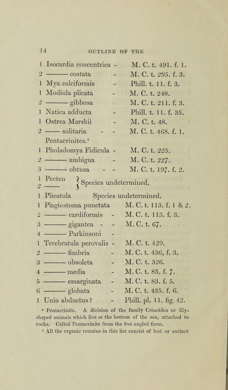 1 Isocardia concentrica - M. C. t. 491. f. 1. 2 - costata M. C. t. 295. f. 3. 1 Mya calciformis Phill. t. 11. f. 3. 1 Modiola plicata M. C. t. 248. 9 w -gibbosa M. C. t. 211. f. 3. 1 Natica adducta Phill. t. 11. f. 35. 1 Ostrea Marshii M. C. t. 48. 2 -solitaria M. C. t. 468. f. 1. Pentacrinites.x 1 Pholadomya Fidicula - M. C. t. 225. 2 -ambigua M. C. t. 227. 3 -obtusa - - M. C. t. 197. f- 2. 1 2 Pecten 7 c< . , , n > Species undetermined. 1 Plicatula Species undetermined. 1 Piagiostoma punctata M. C. t. 113. f. 1 &2 9 .w -cardiformis M. C. t. 113. f. 3. 3 -gigantea - M. C. t. 67. 4 -Parkin soni 1 Terebratula perovalis - M. C. t. 429. 9 w -fimbria M. C. t. 436, f. 3. 3 -obsoleta M. C. t. 326. 4 -media M. C. t. 83. f. 7. 5 -emarginata M. C. t. 83. f. 5. 6 -globata M. C. t. 435. f. 6. 1 Unio abductusY Phill. pi. 11. fig. 42. 3 : Pentacrinite. A division of the family Crinoidea or lily- shaped animals which live at the bottom of the sea, attached to rocks. Called Pentacrinite from the five angled form. y All the organic remains in this list consist of lost or extinct