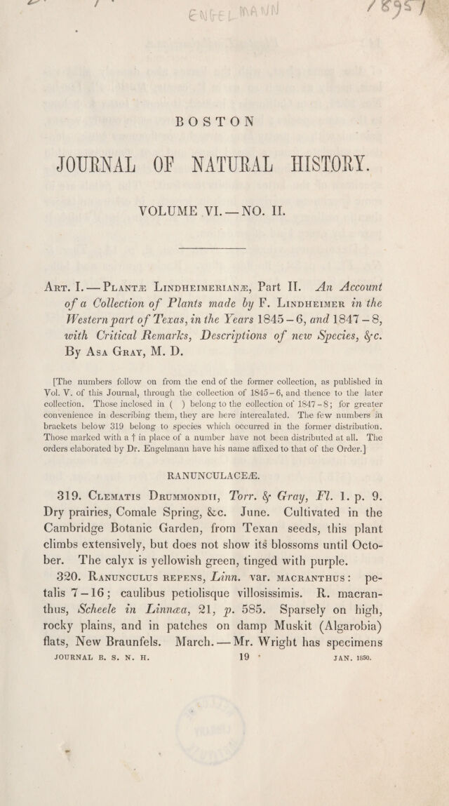 digitised image 3